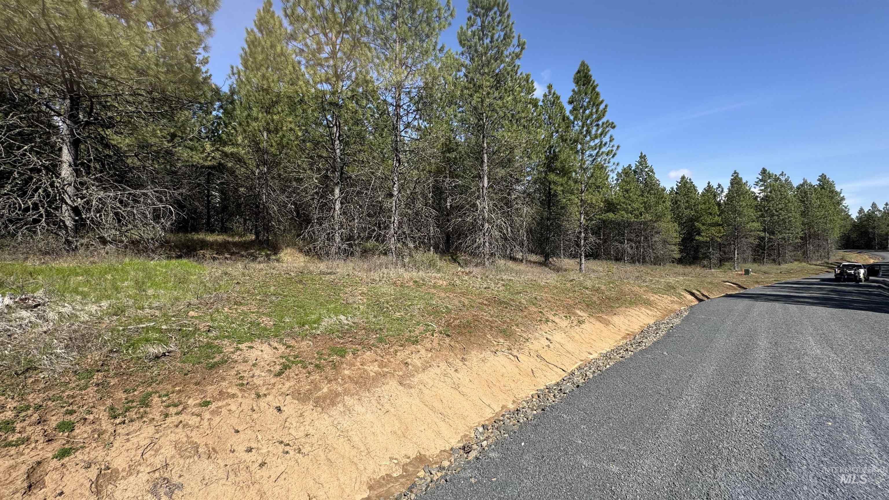 TBD Parcel 17-Bandmill Heights, Orofino, Idaho 83554, Land For Sale, Price $235,400, 98944985