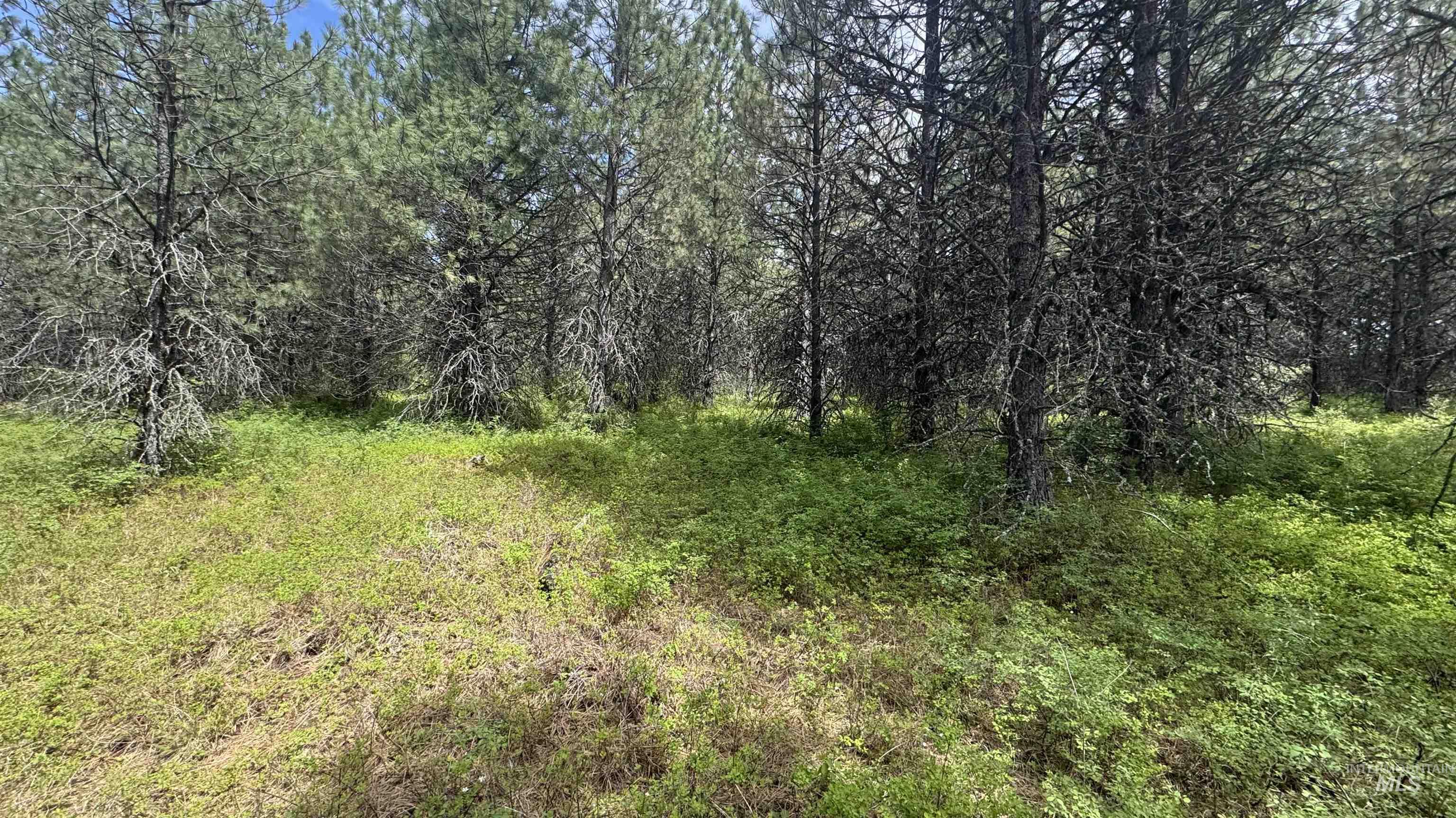 TBD Parcel 17-Bandmill Heights, Orofino, Idaho 83554, Land For Sale, Price $235,400, 98944985