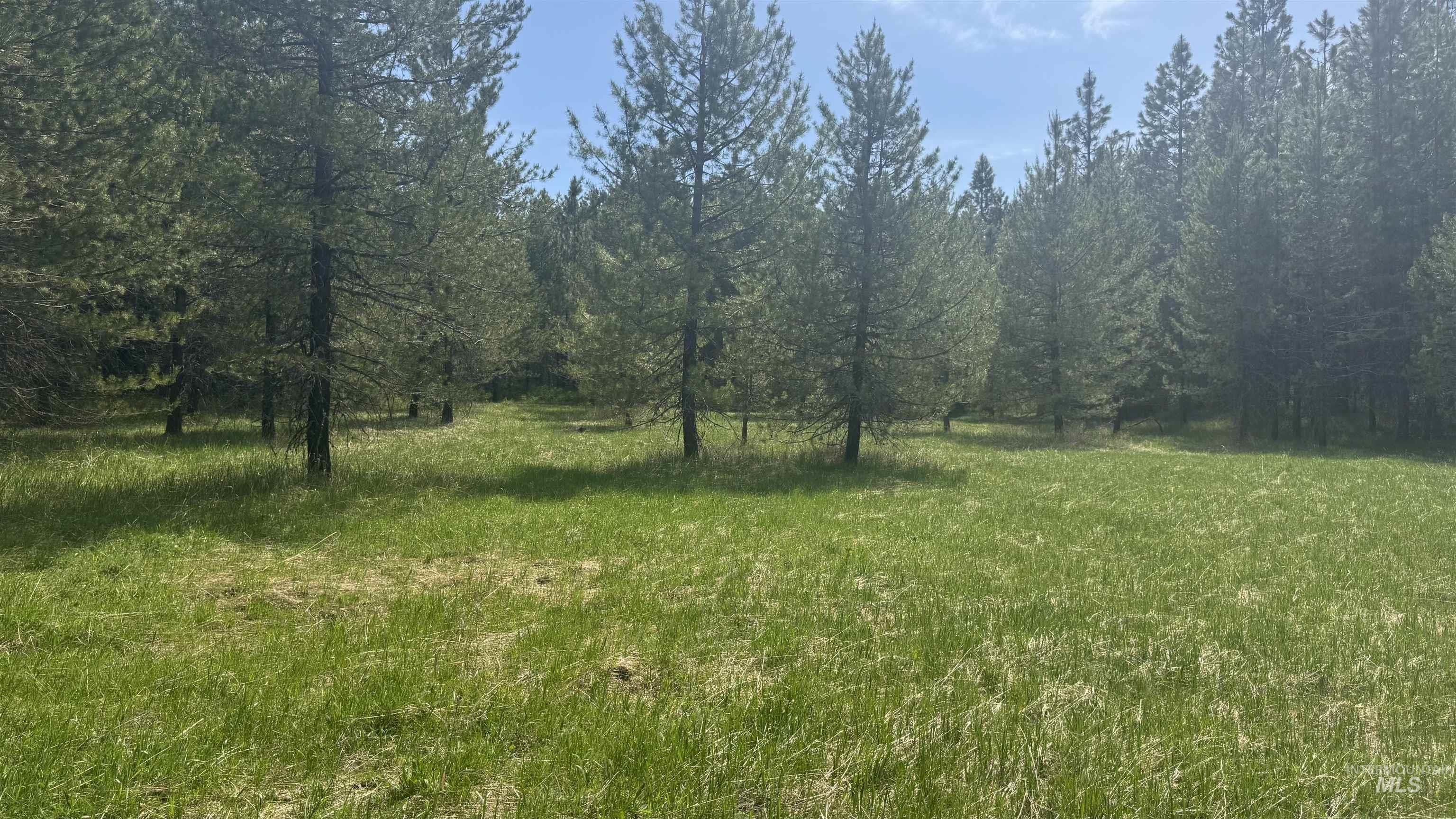 TBD Parcel 17-Bandmill Heights, Orofino, Idaho 83554, Land For Sale, Price $235,400, 98944985