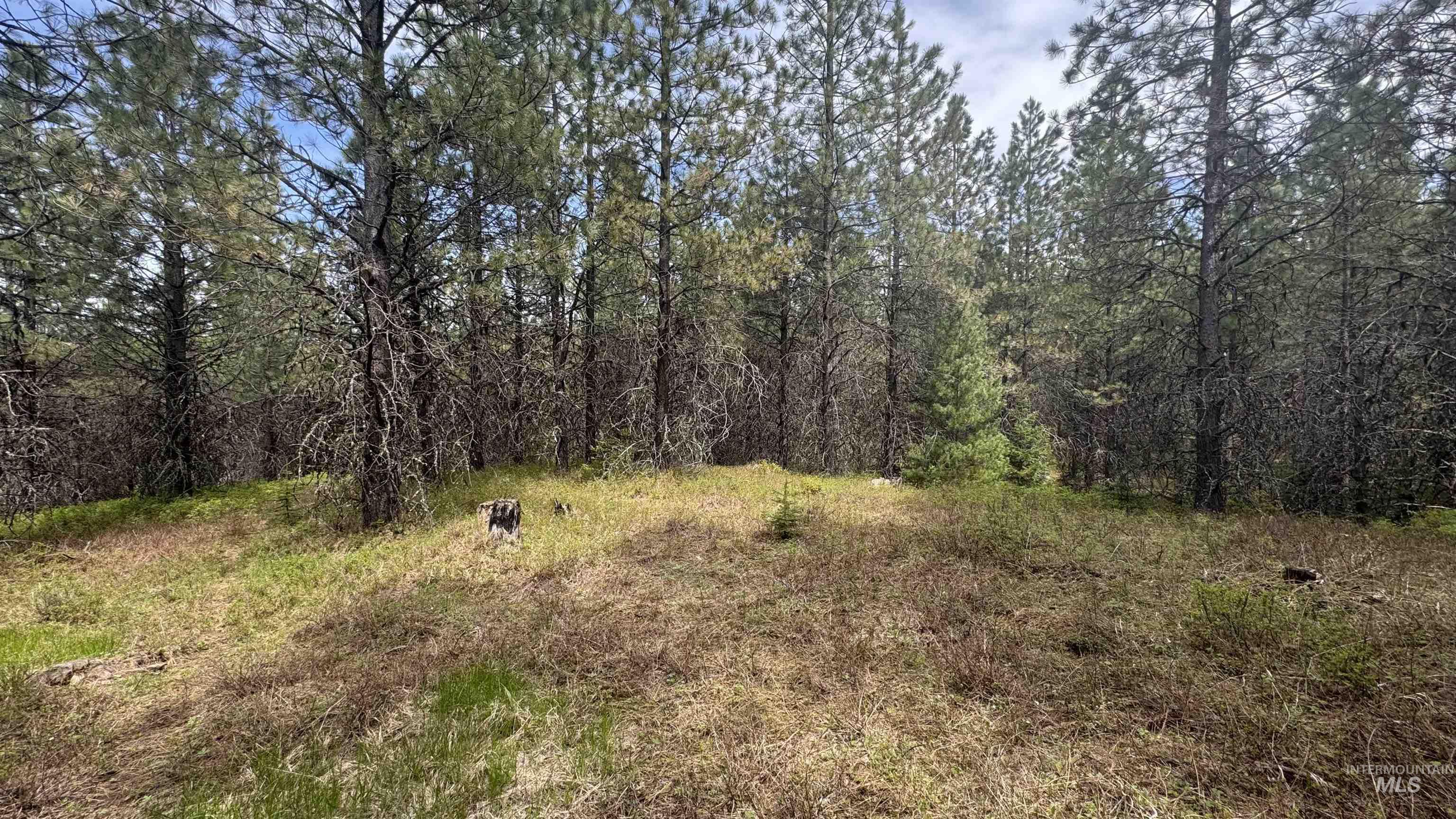 TBD Parcel 17-Bandmill Heights, Orofino, Idaho 83554, Land For Sale, Price $235,400, 98944985