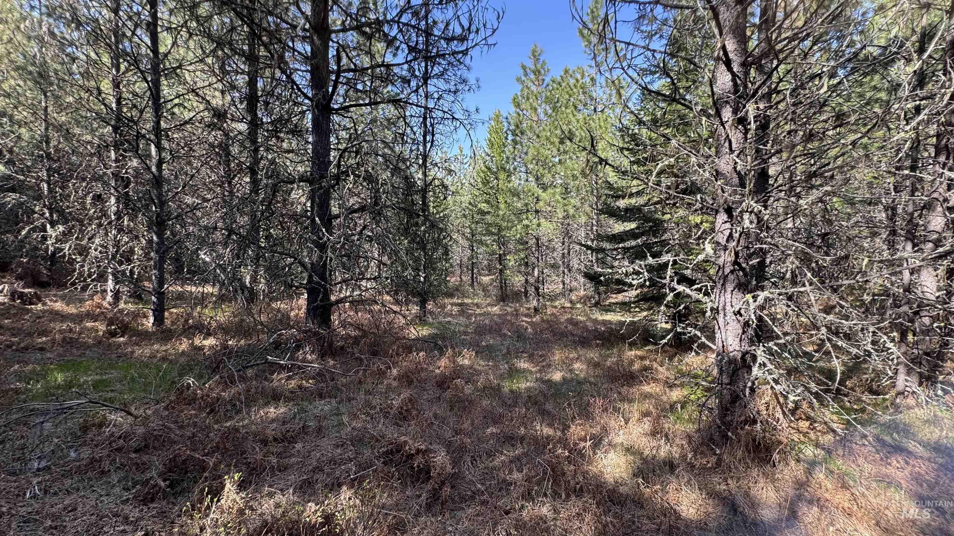 TBD Parcel 17-Bandmill Heights, Orofino, Idaho 83554, Land For Sale, Price $235,400, 98944985