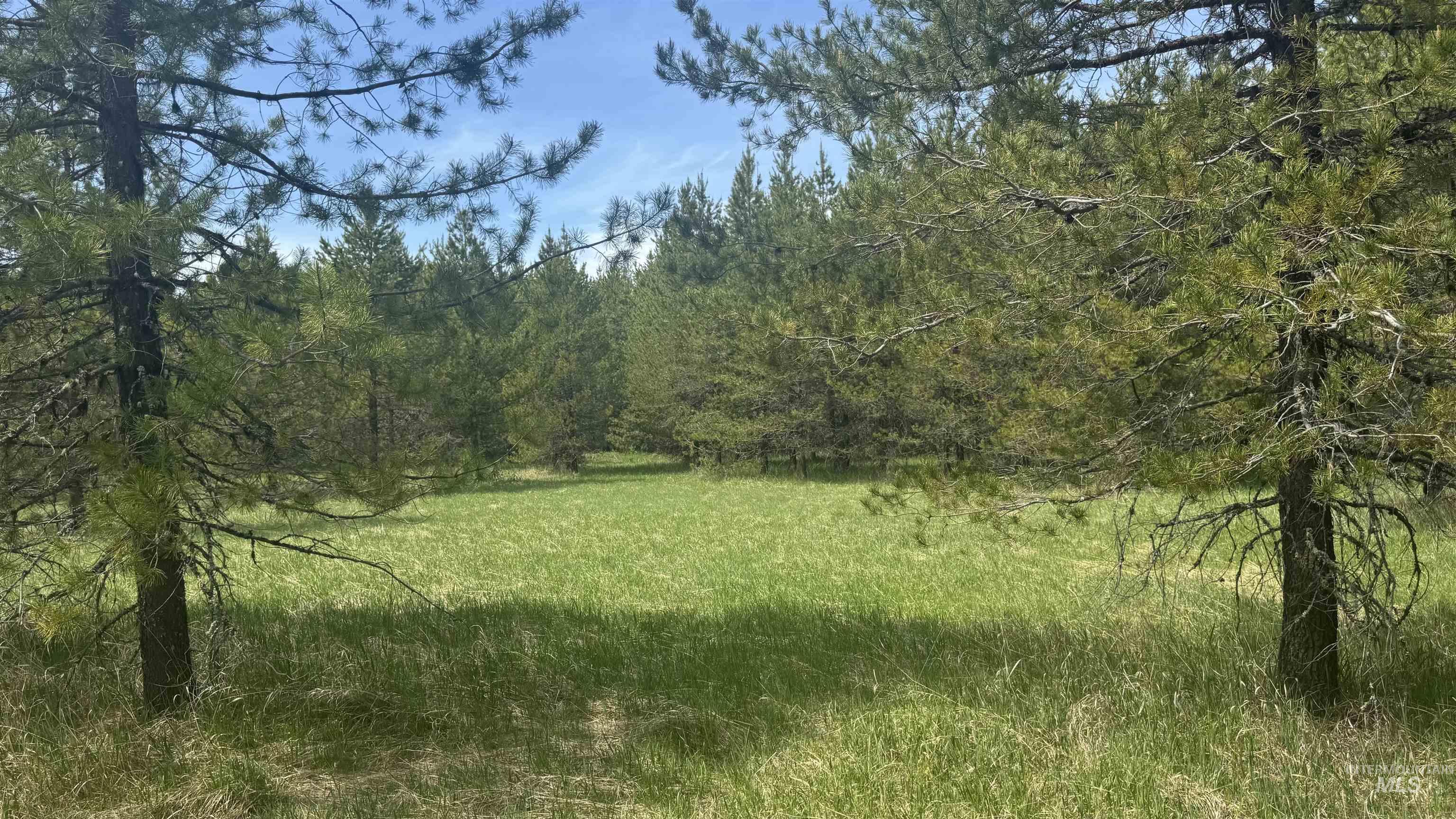 TBD Parcel 17-Bandmill Heights, Orofino, Idaho 83554, Land For Sale, Price $235,400, 98944985