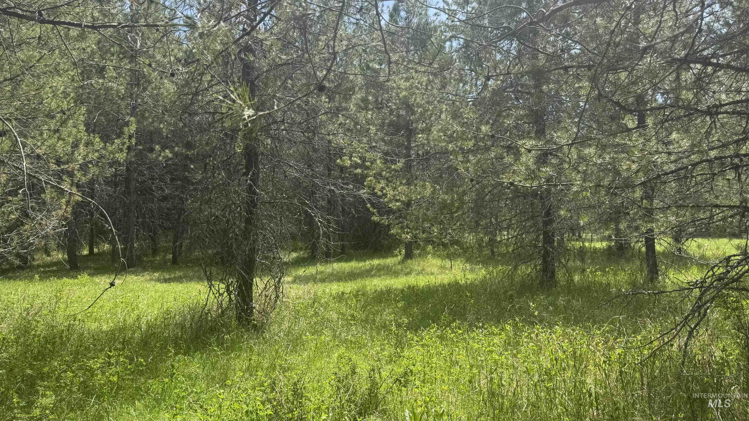 TBD Parcel 17-Bandmill Heights, Orofino, Idaho 83554, Land For Sale, Price $235,400, 98944985