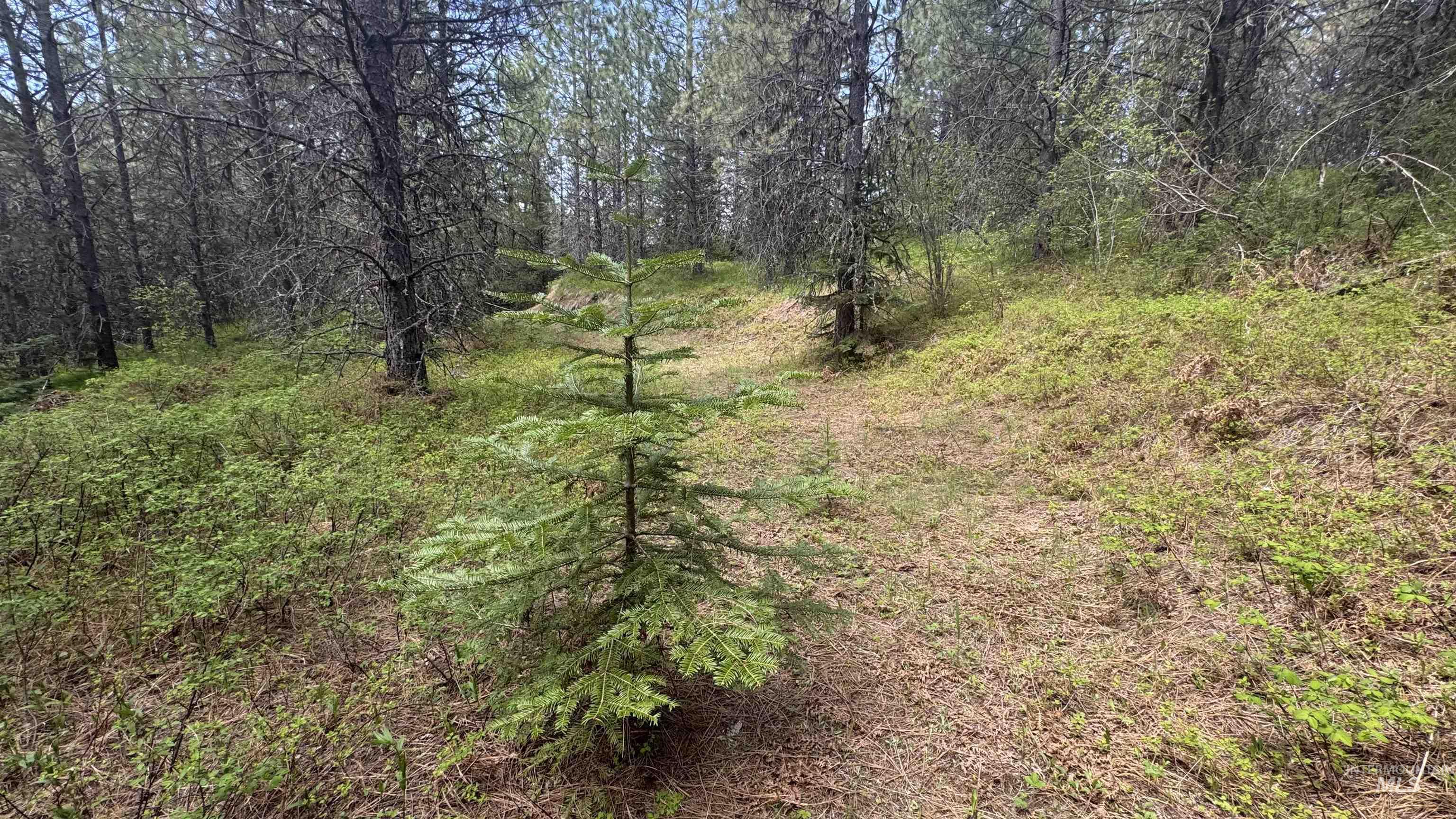 TBD Parcel 17-Bandmill Heights, Orofino, Idaho 83554, Land For Sale, Price $235,400, 98944985