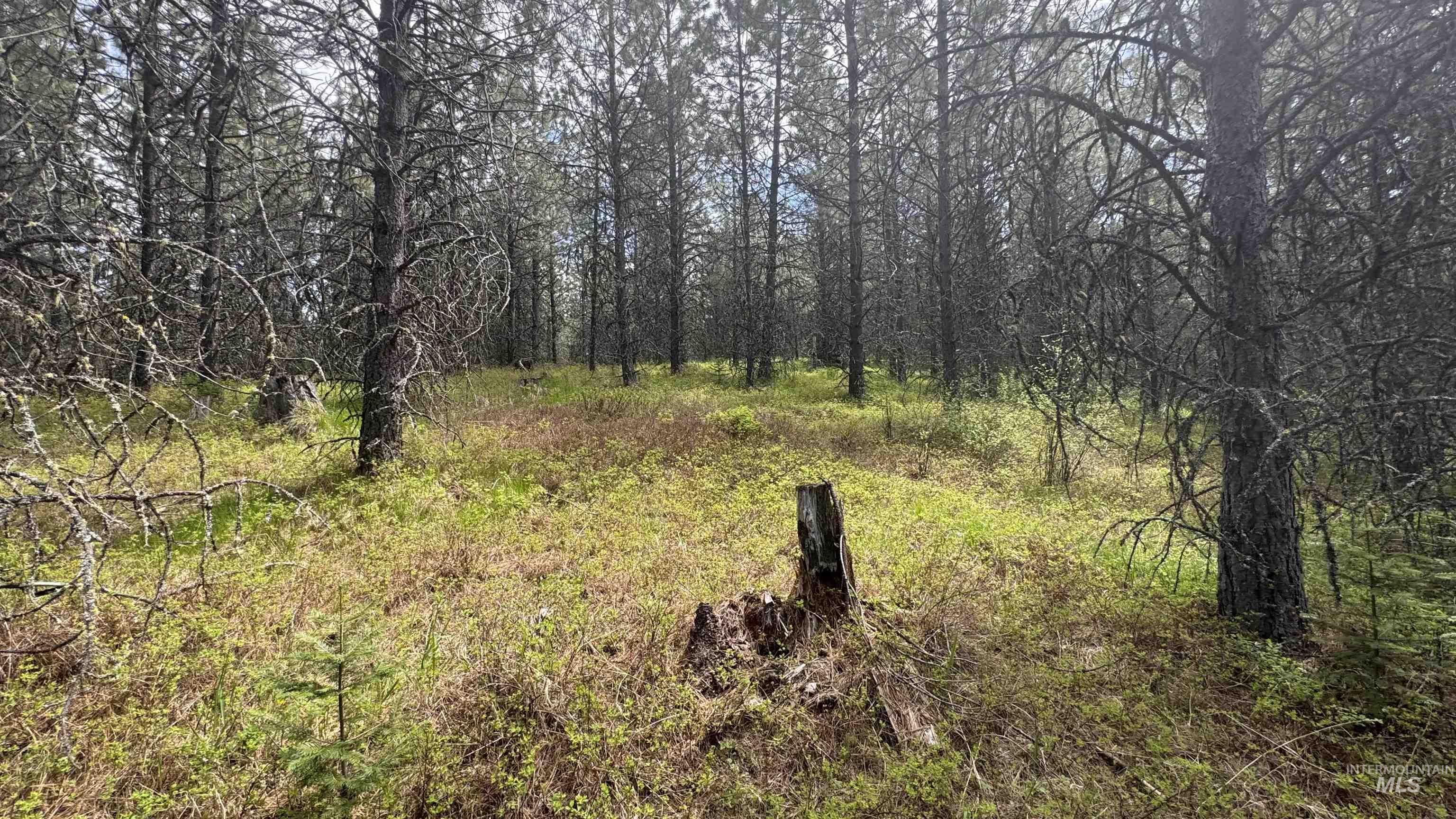 TBD Parcel 17-Bandmill Heights, Orofino, Idaho 83554, Land For Sale, Price $235,400, 98944985