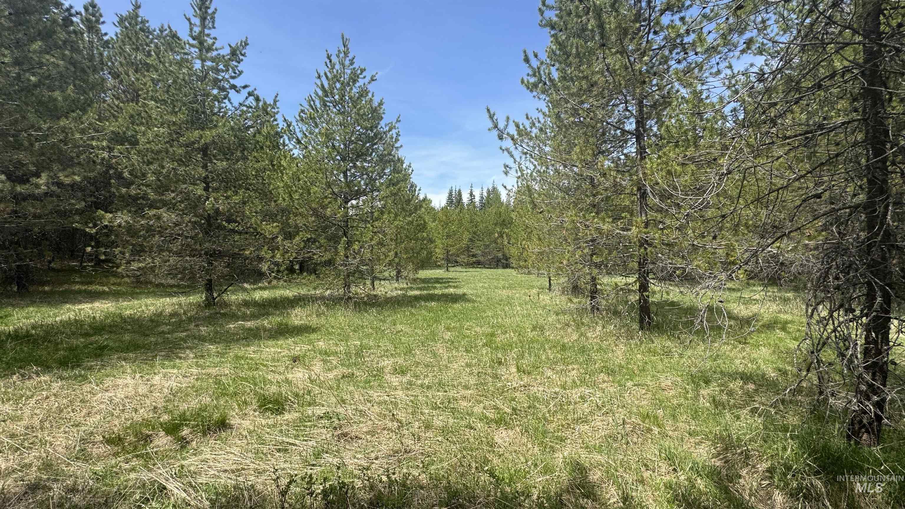TBD Parcel 17-Bandmill Heights, Orofino, Idaho 83554, Land For Sale, Price $235,400, 98944985