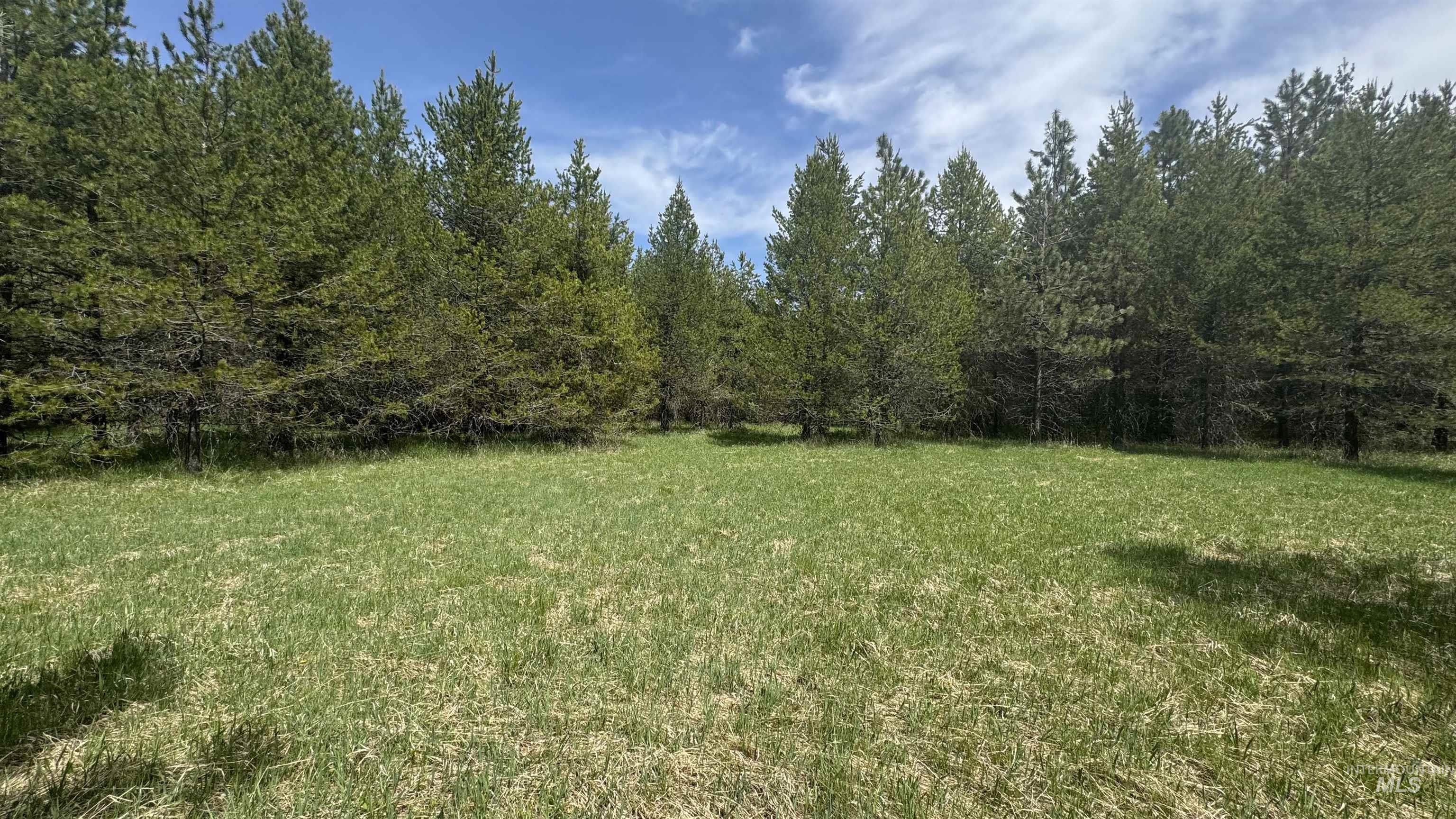 TBD Parcel 17-Bandmill Heights, Orofino, Idaho 83554, Land For Sale, Price $235,400, 98944985