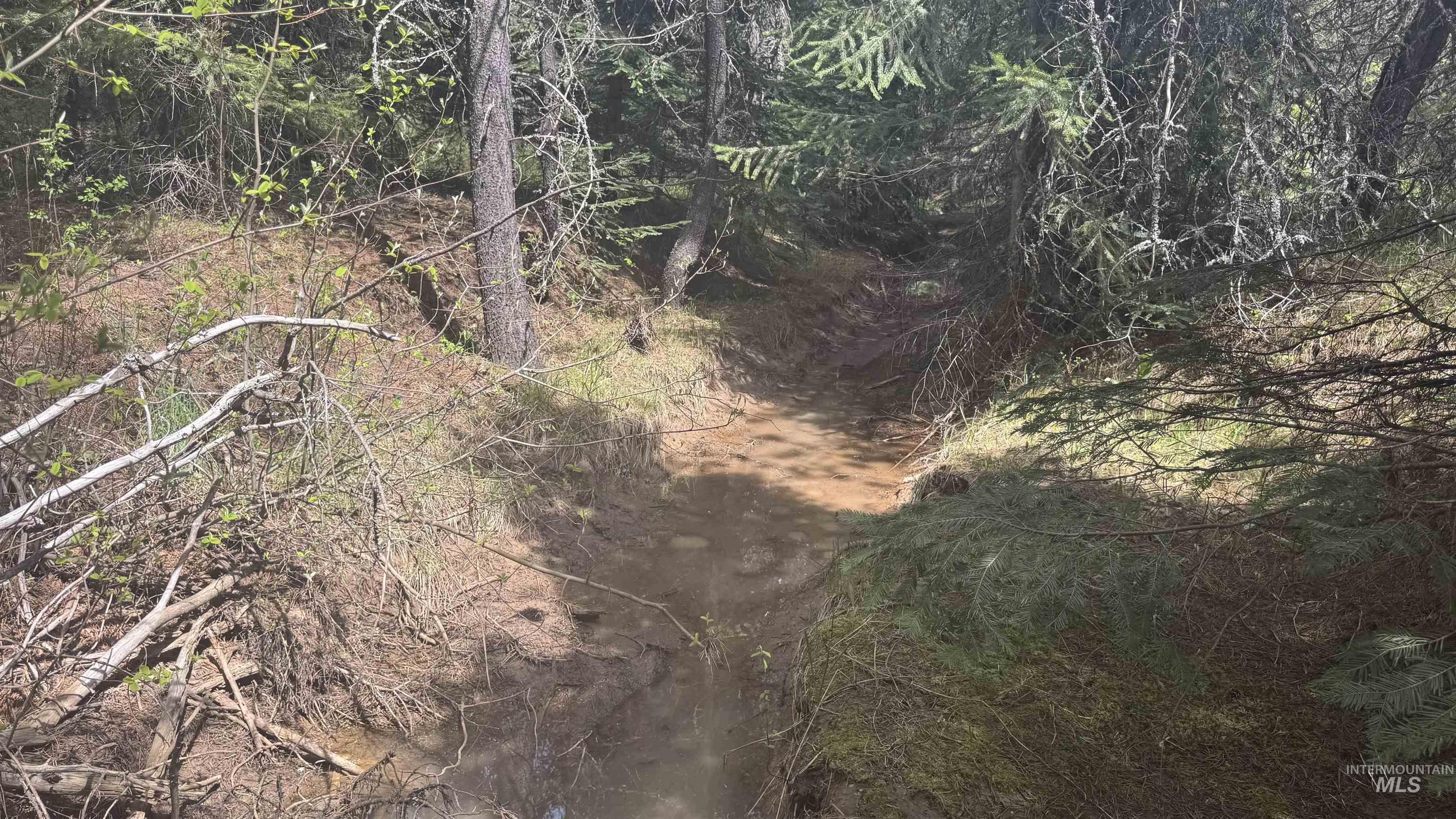 TBD Parcel 17-Bandmill Heights, Orofino, Idaho 83554, Land For Sale, Price $235,400, 98944985