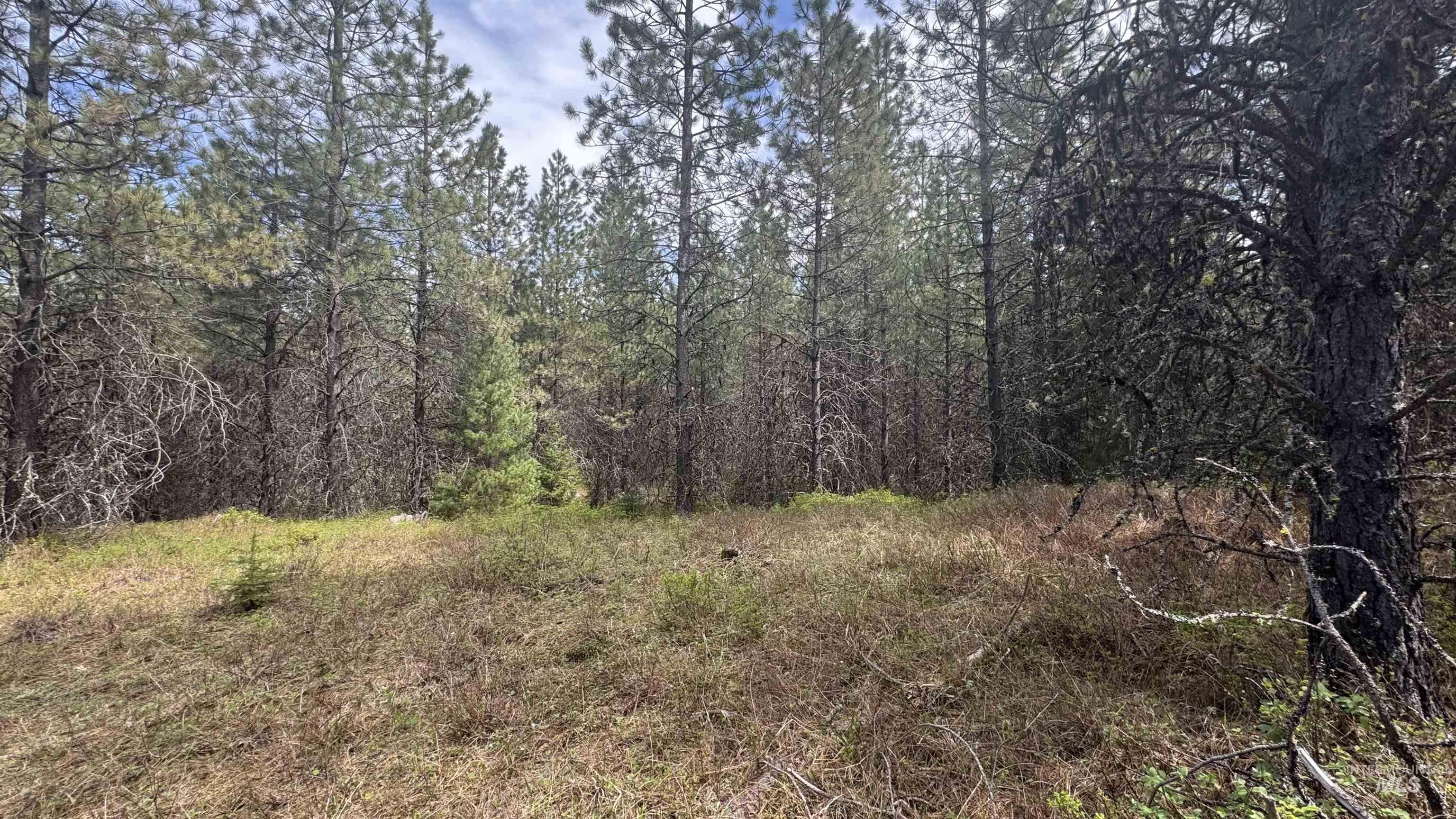 TBD Parcel 17-Bandmill Heights, Orofino, Idaho 83554, Land For Sale, Price $235,400, 98944985