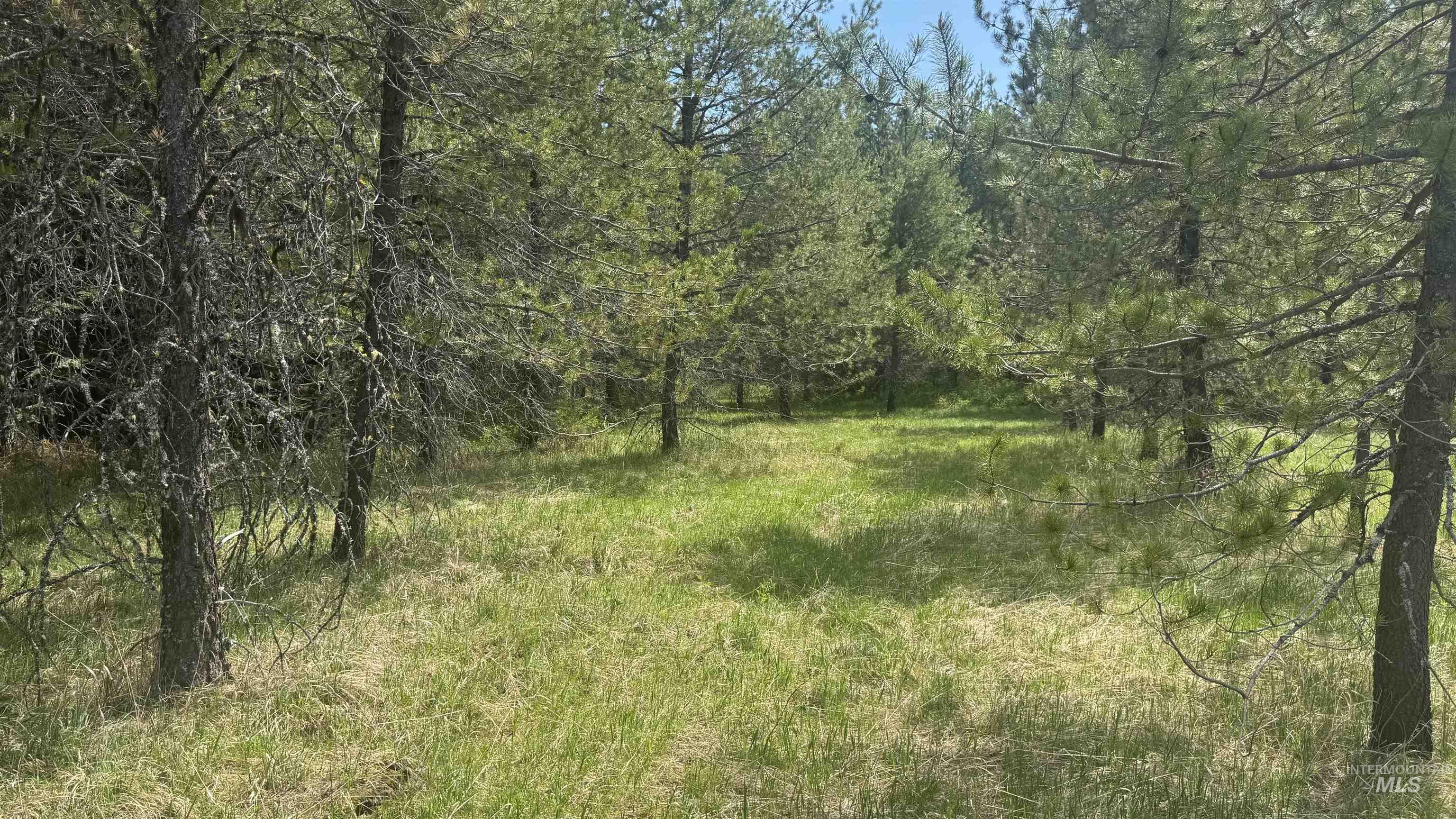 TBD Parcel 17-Bandmill Heights, Orofino, Idaho 83554, Land For Sale, Price $235,400, 98944985