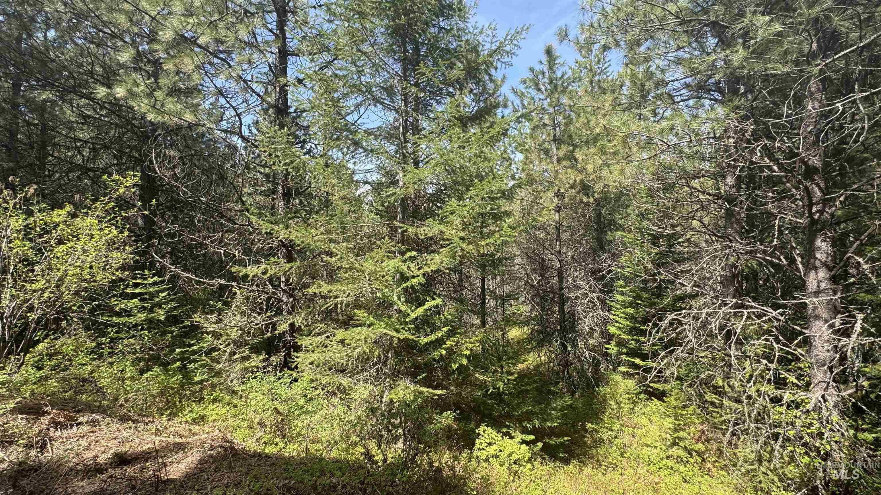 TBD Parcel 17-Bandmill Heights, Orofino, Idaho 83554, Land For Sale, Price $235,400, 98944985