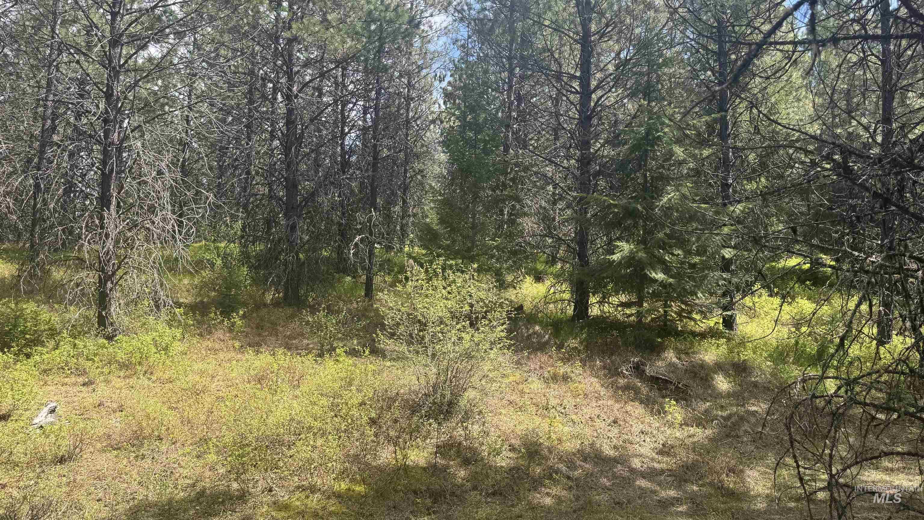 TBD Parcel 17-Bandmill Heights, Orofino, Idaho 83554, Land For Sale, Price $235,400, 98944985
