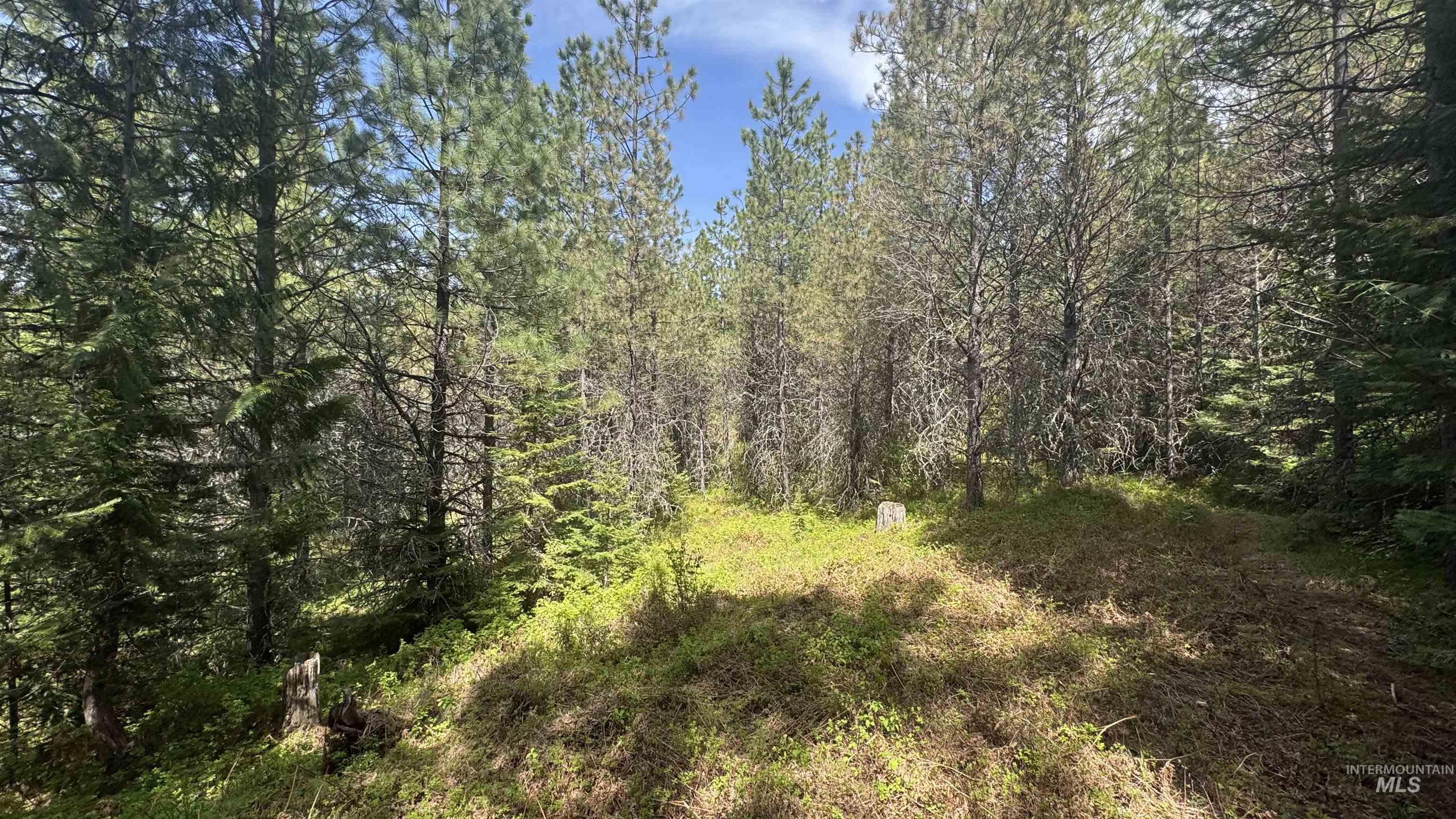 TBD Parcel 17-Bandmill Heights, Orofino, Idaho 83554, Land For Sale, Price $235,400, 98944985