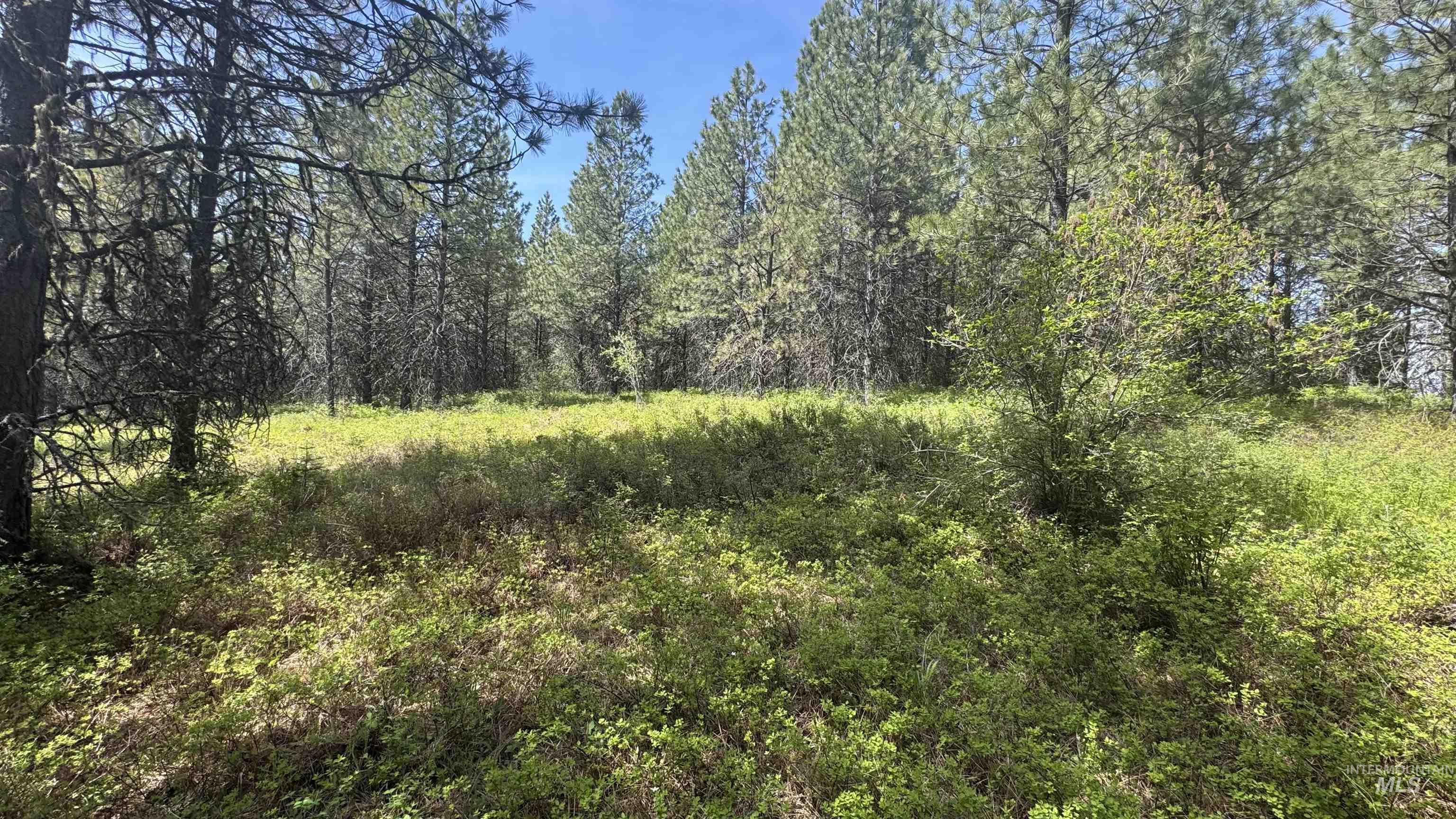 TBD Parcel 17-Bandmill Heights, Orofino, Idaho 83554, Land For Sale, Price $235,400, 98944985