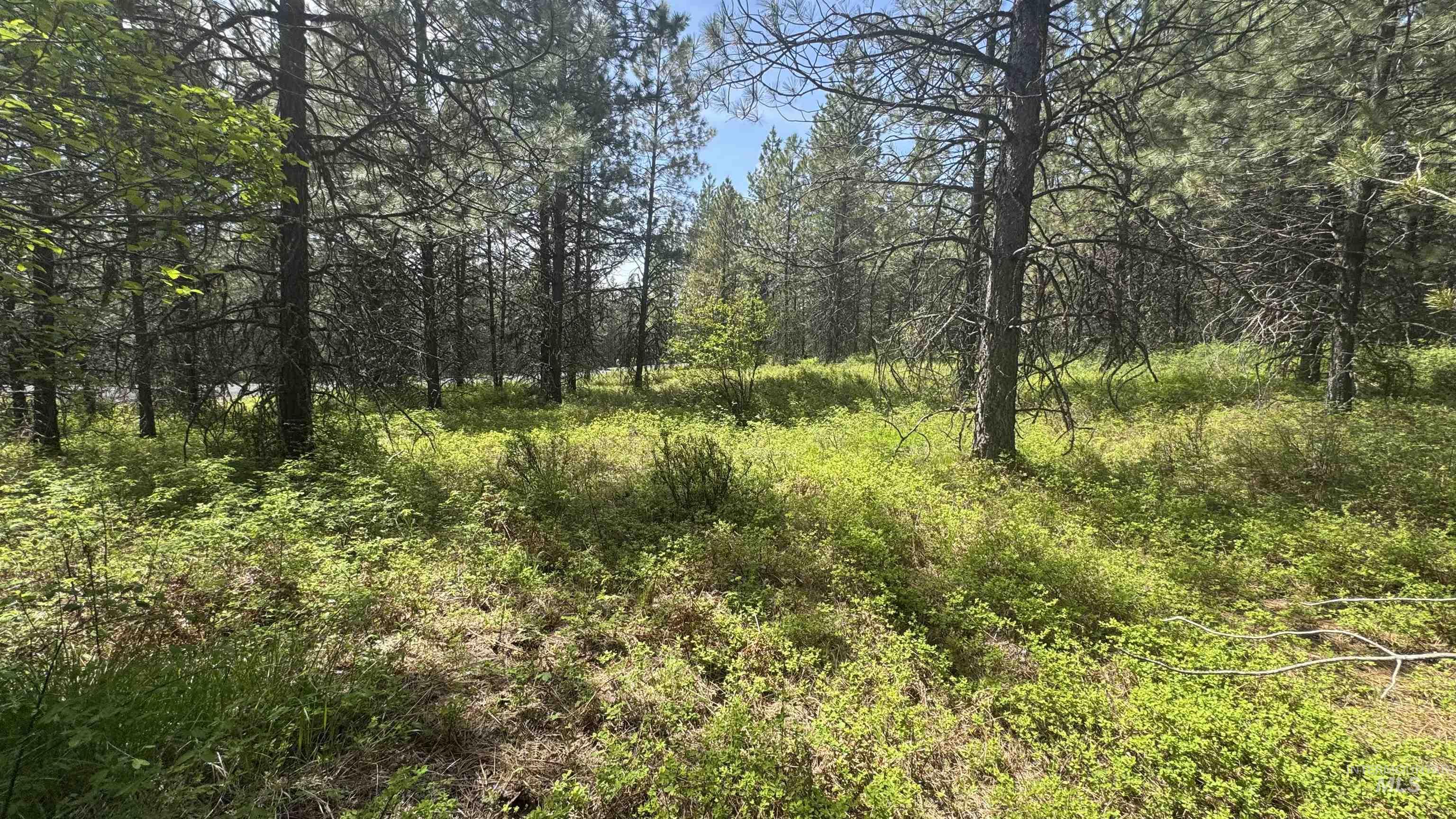 TBD Parcel 17-Bandmill Heights, Orofino, Idaho 83554, Land For Sale, Price $235,400, 98944985