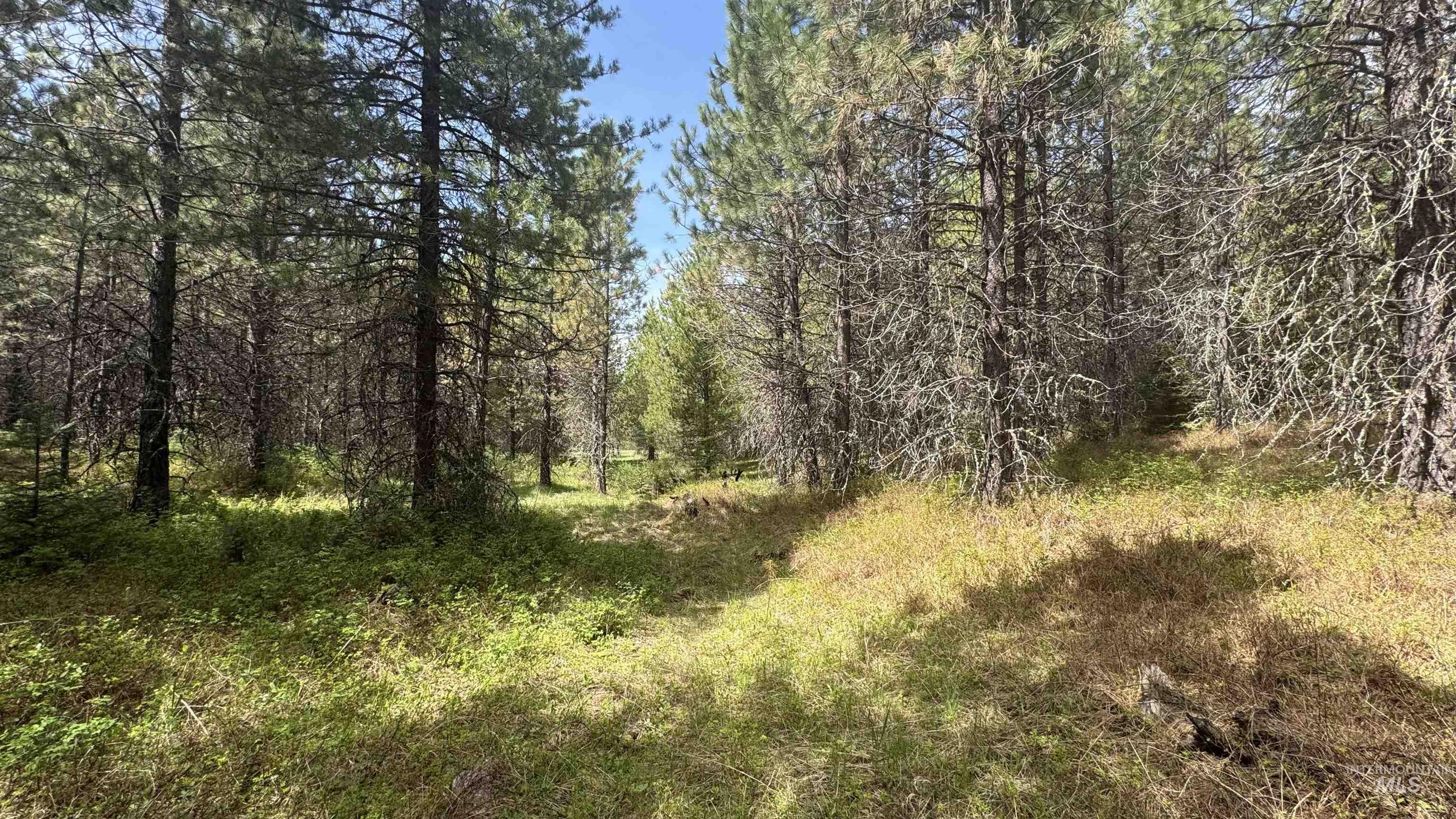 TBD Parcel 17-Bandmill Heights, Orofino, Idaho 83554, Land For Sale, Price $235,400, 98944985