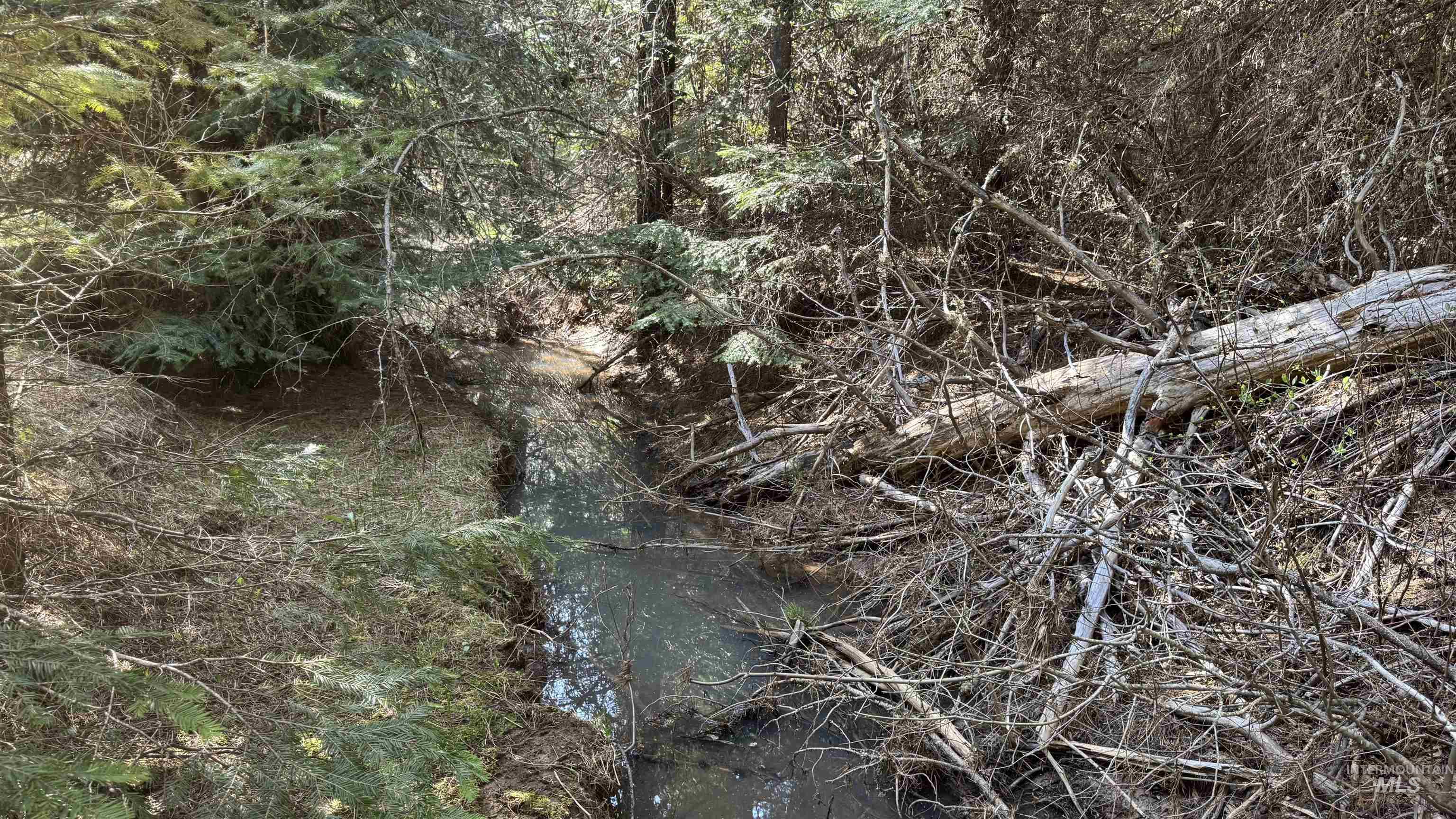 TBD Parcel 17-Bandmill Heights, Orofino, Idaho 83554, Land For Sale, Price $235,400, 98944985