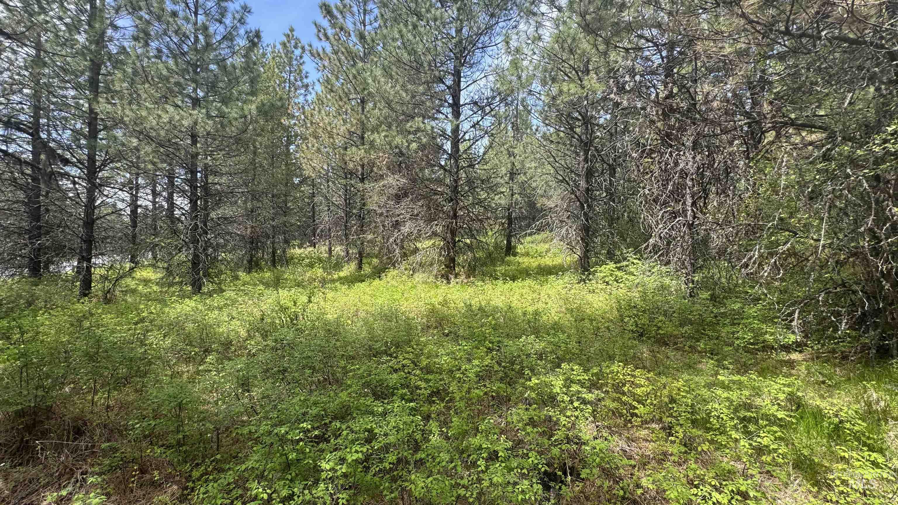 TBD Parcel 17-Bandmill Heights, Orofino, Idaho 83554, Land For Sale, Price $235,400, 98944985