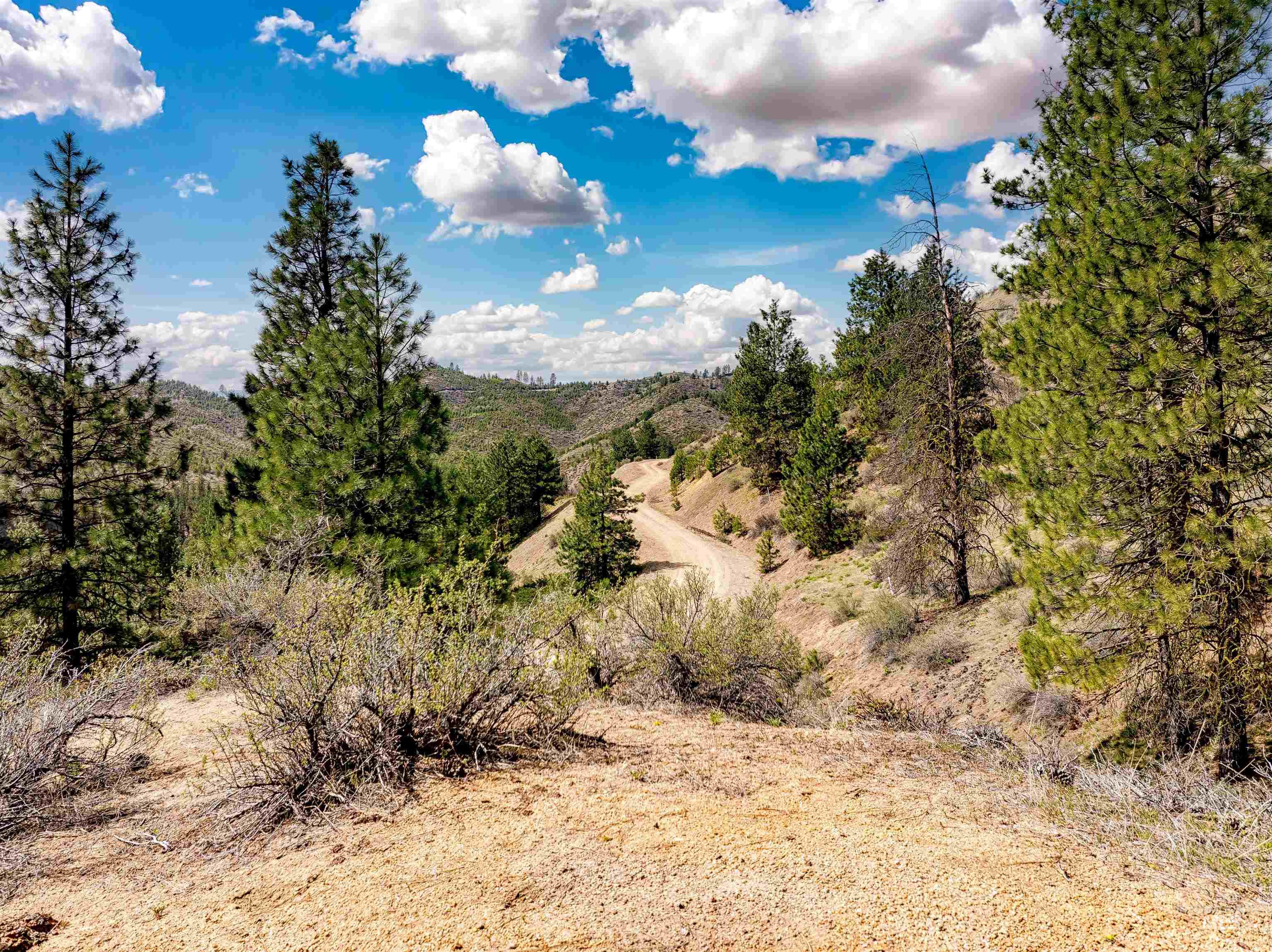 LOT 16 Napias Sub, Boise, Idaho 83716, Land For Sale, Price $175,000, 98945055