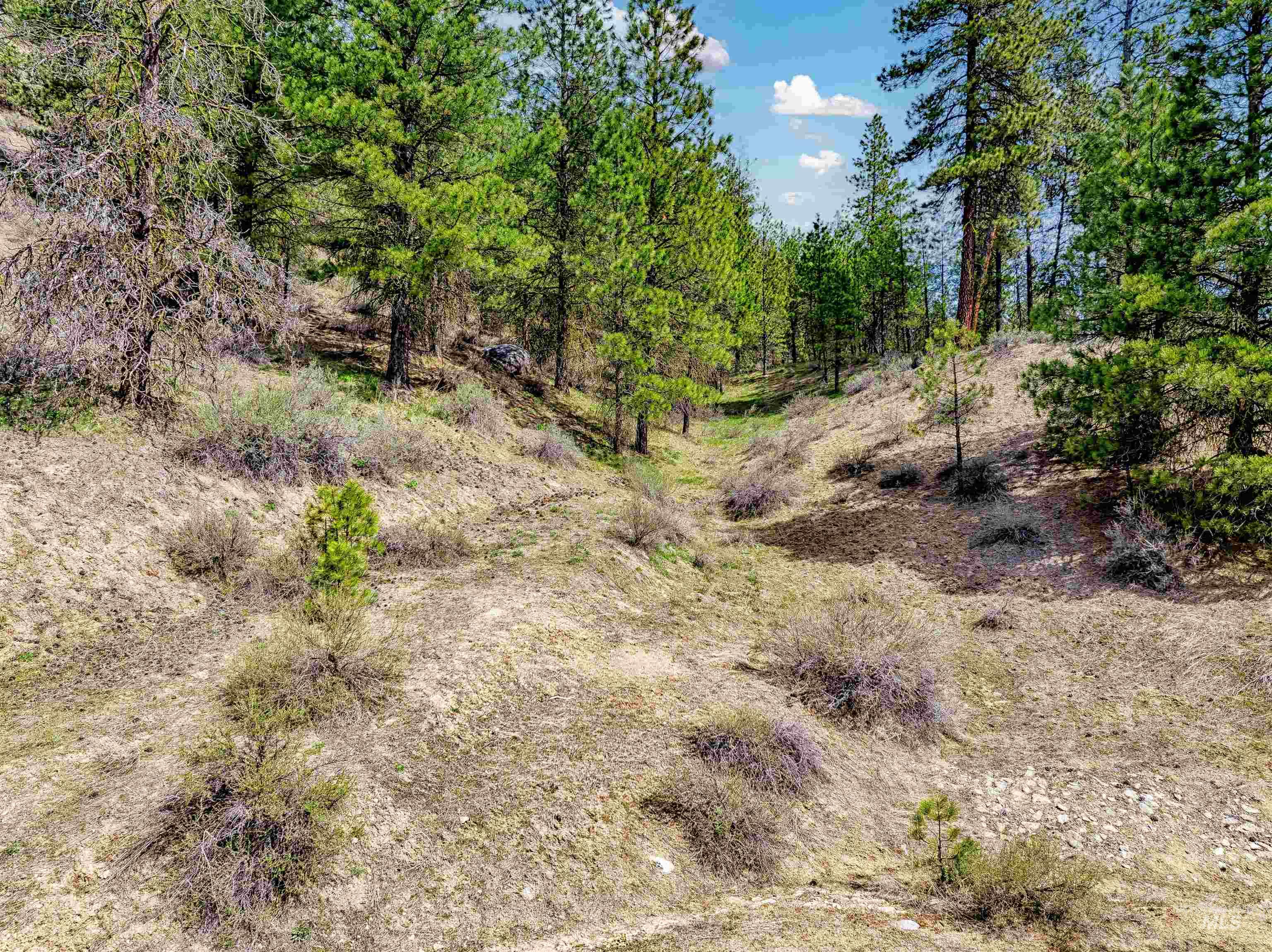 LOT 16 Napias Sub, Boise, Idaho 83716, Land For Sale, Price $175,000, 98945055