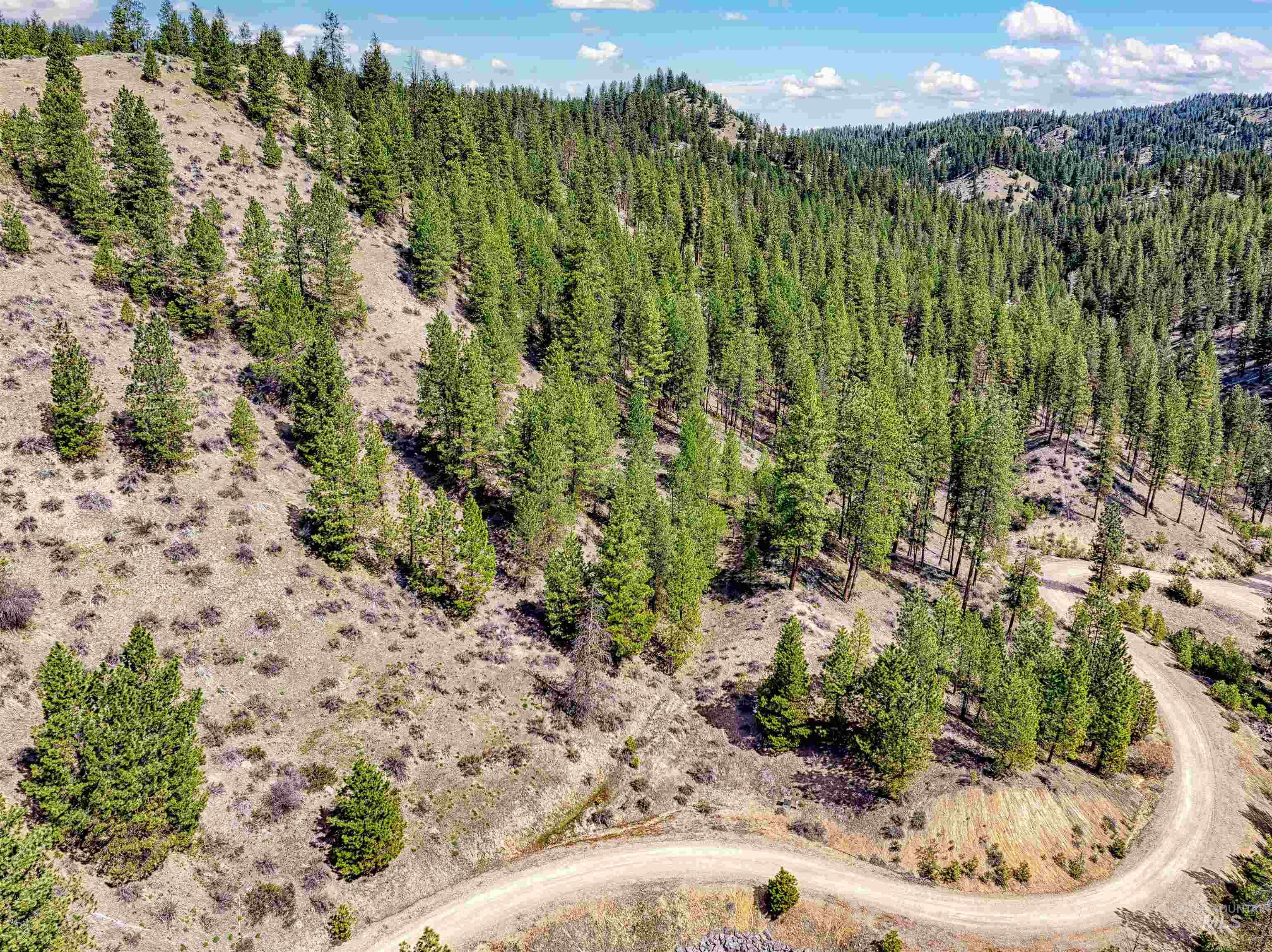 LOT 16 Napias Sub, Boise, Idaho 83716, Land For Sale, Price $175,000, 98945055