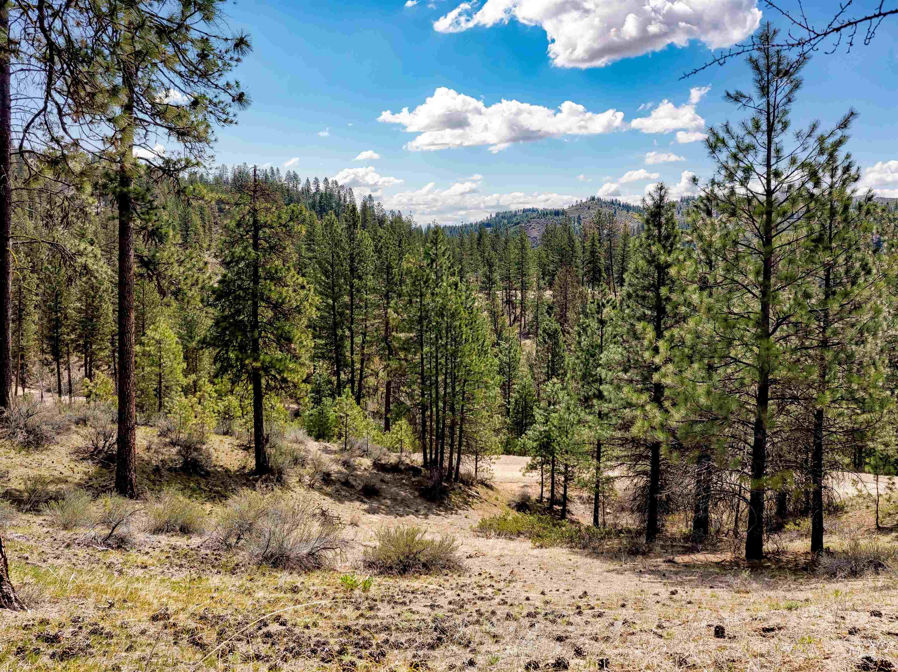 LOT 16 Napias Sub, Boise, Idaho 83716, Land For Sale, Price $175,000, 98945055