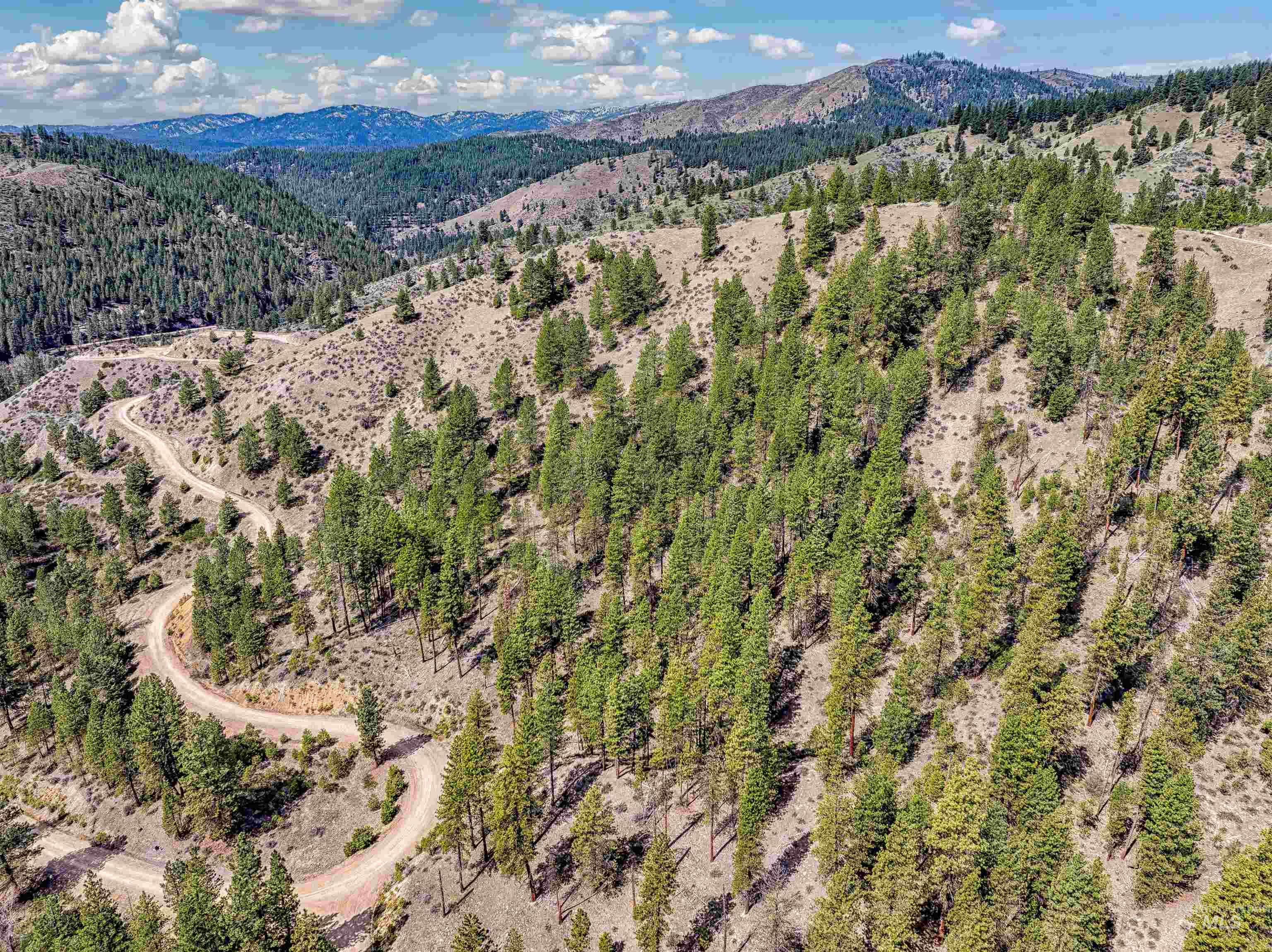 LOT 16 Napias Sub, Boise, Idaho 83716, Land For Sale, Price $175,000, 98945055