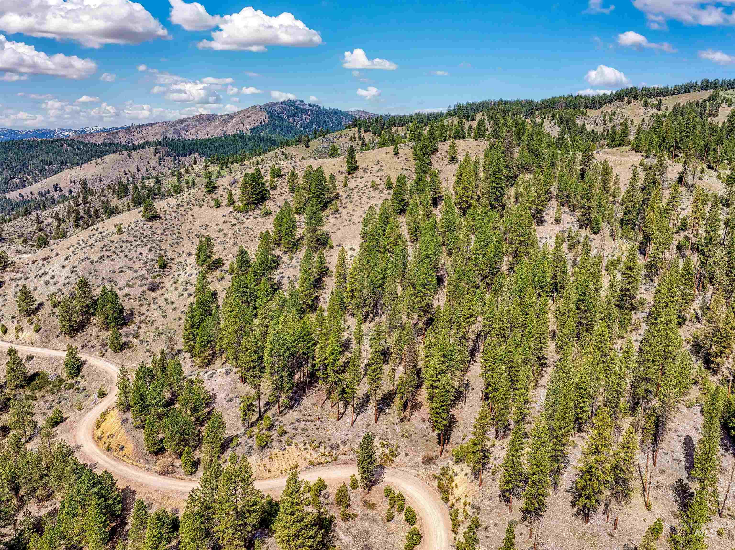 LOT 16 Napias Sub, Boise, Idaho 83716, Land For Sale, Price $175,000, 98945055