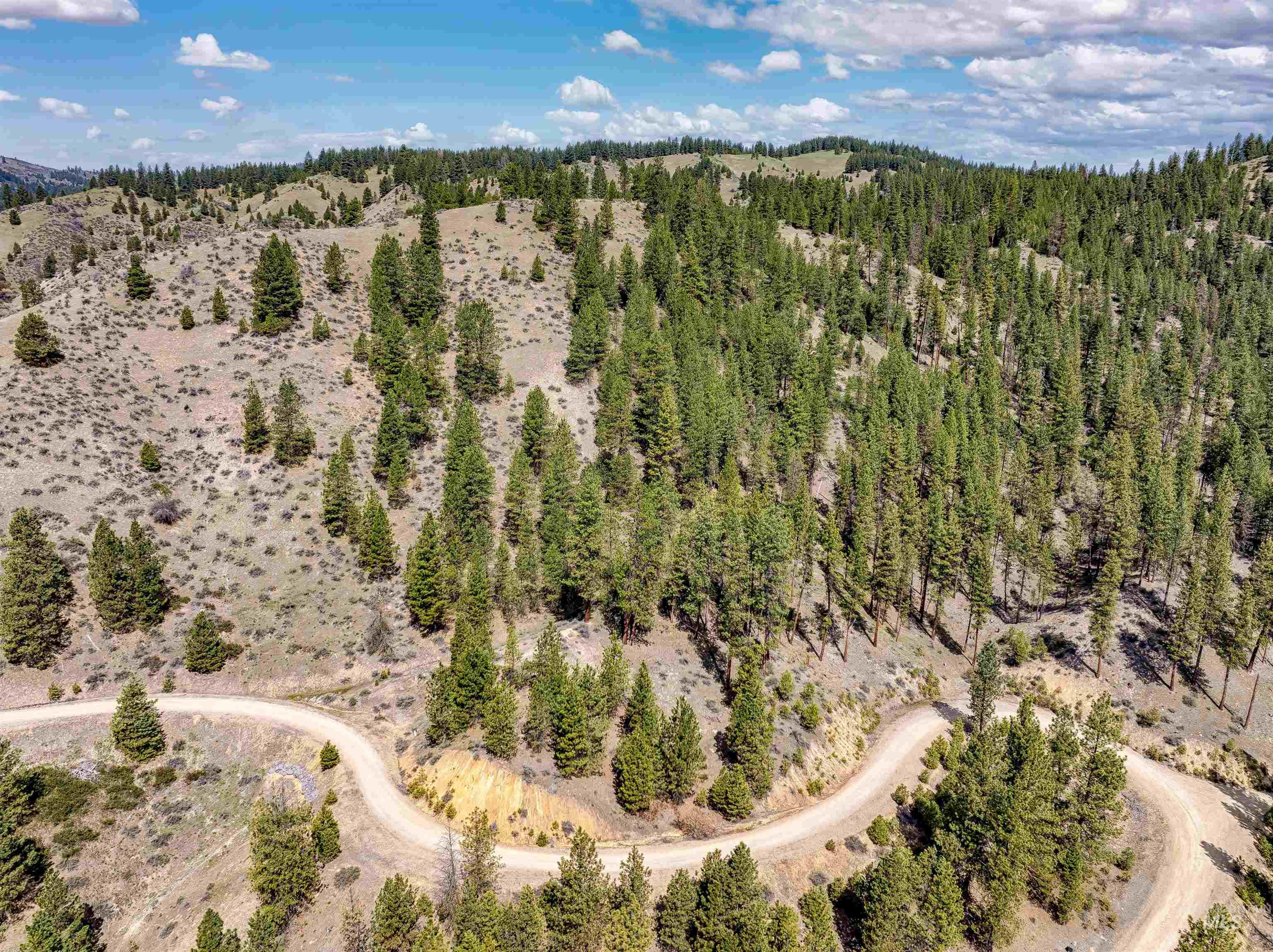 LOT 16 Napias Sub, Boise, Idaho 83716, Land For Sale, Price $175,000, 98945055
