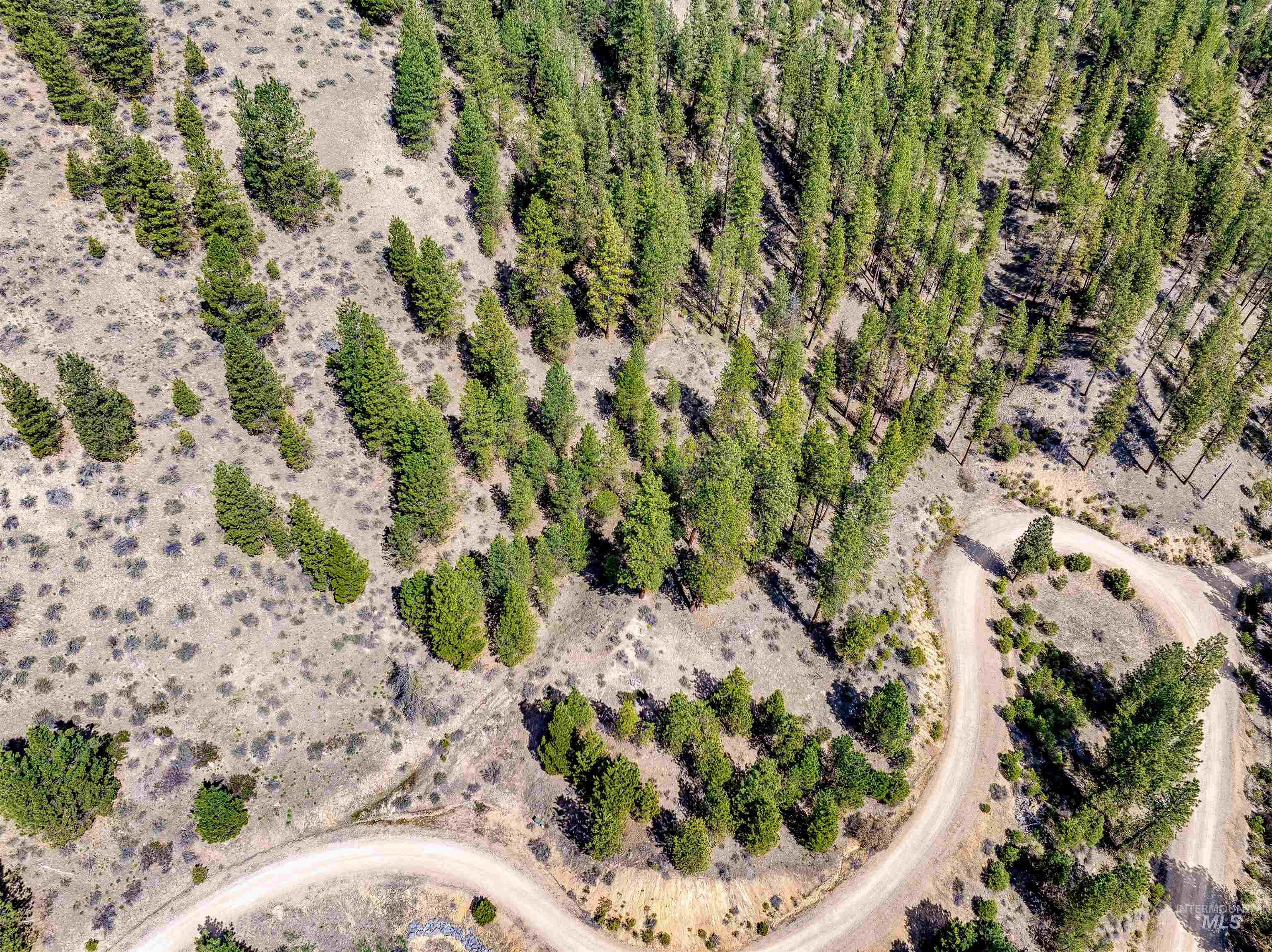 LOT 16 Napias Sub, Boise, Idaho 83716, Land For Sale, Price $175,000, 98945055