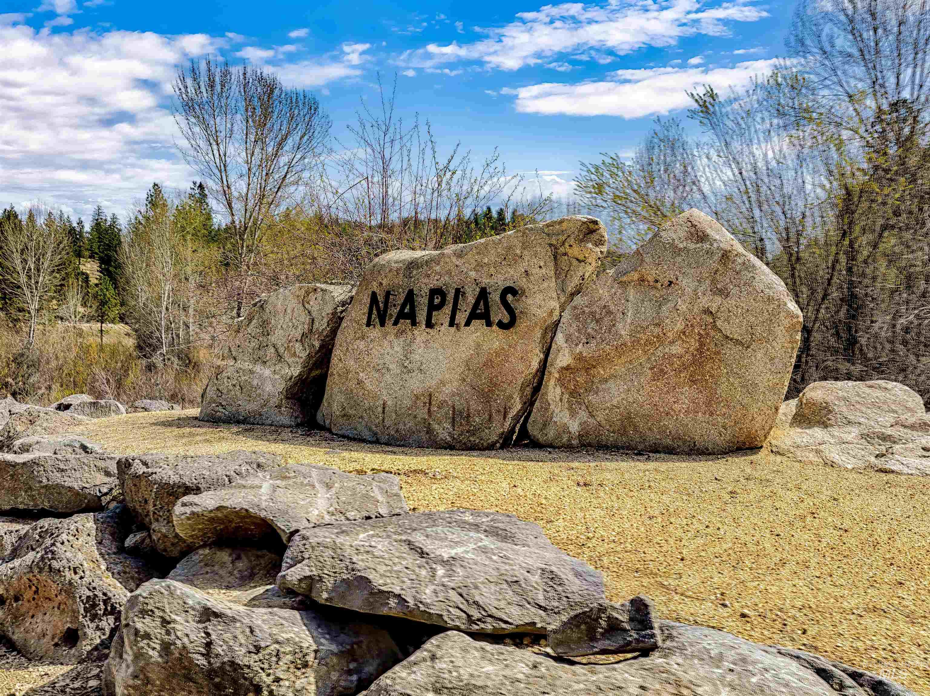 LOT 16 Napias Sub, Boise, Idaho 83716, Land For Sale, Price $175,000, 98945055