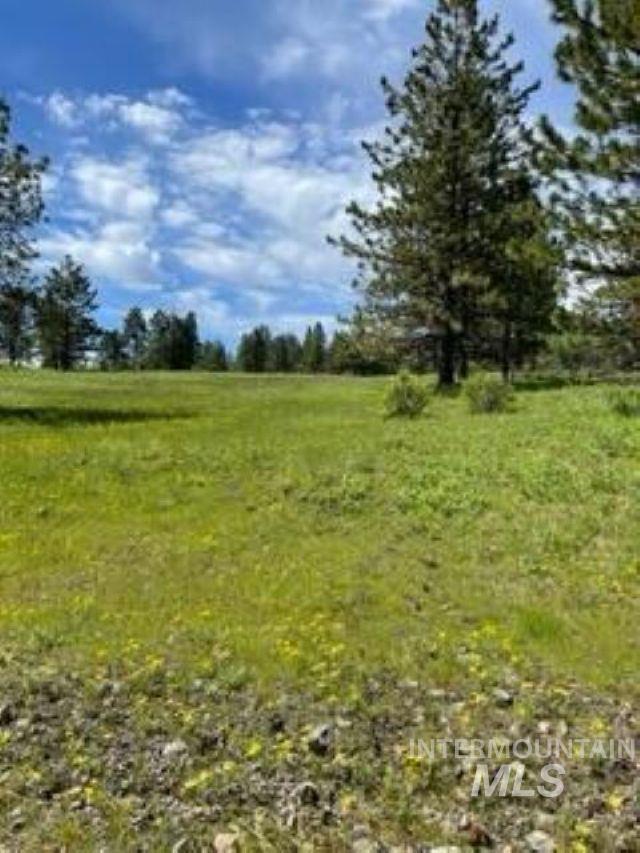 TBD TBD, CottonWood, Idaho 83522, Land For Sale, Price $250,000, 98945063