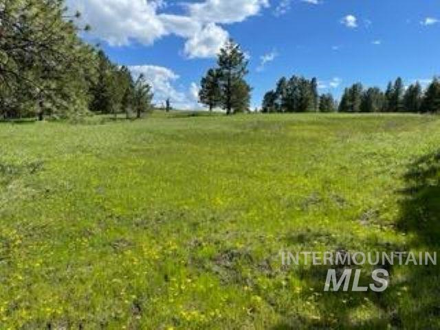 TBD TBD, CottonWood, Idaho 83522, Land For Sale, Price $250,000, 98945063