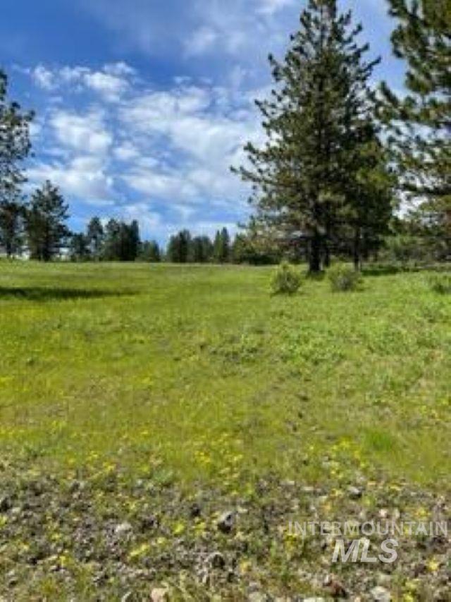 TBD TBD, CottonWood, Idaho 83522, Land For Sale, Price $250,000, 98945063