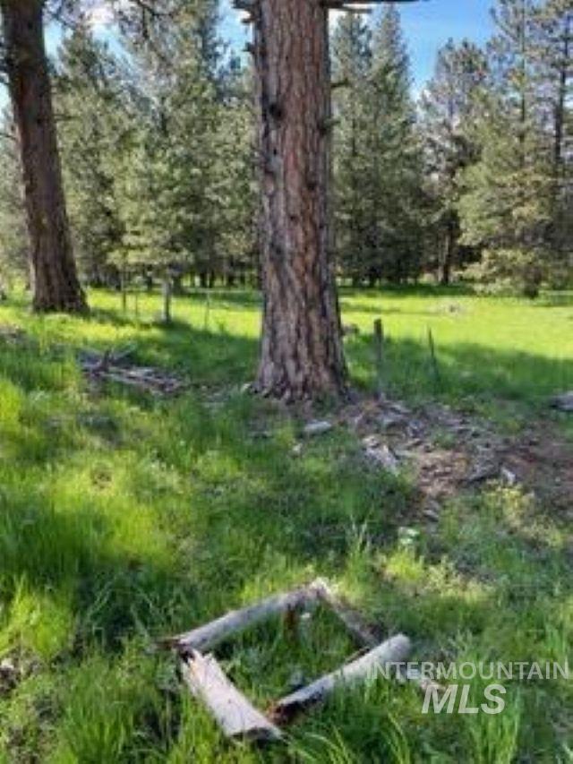 TBD TBD, CottonWood, Idaho 83522, Land For Sale, Price $250,000, 98945063