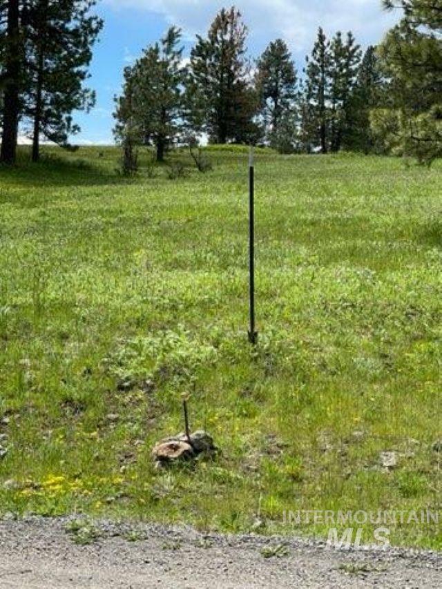 TBD TBD, CottonWood, Idaho 83522, Land For Sale, Price $250,000, 98945063