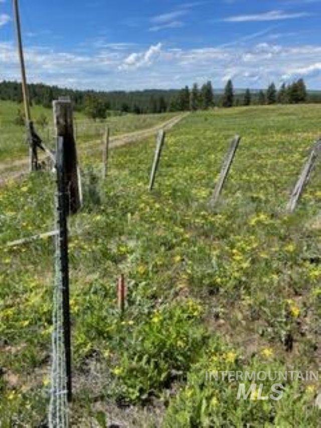 TBD TBD, CottonWood, Idaho 83522, Land For Sale, Price $250,000, 98945063