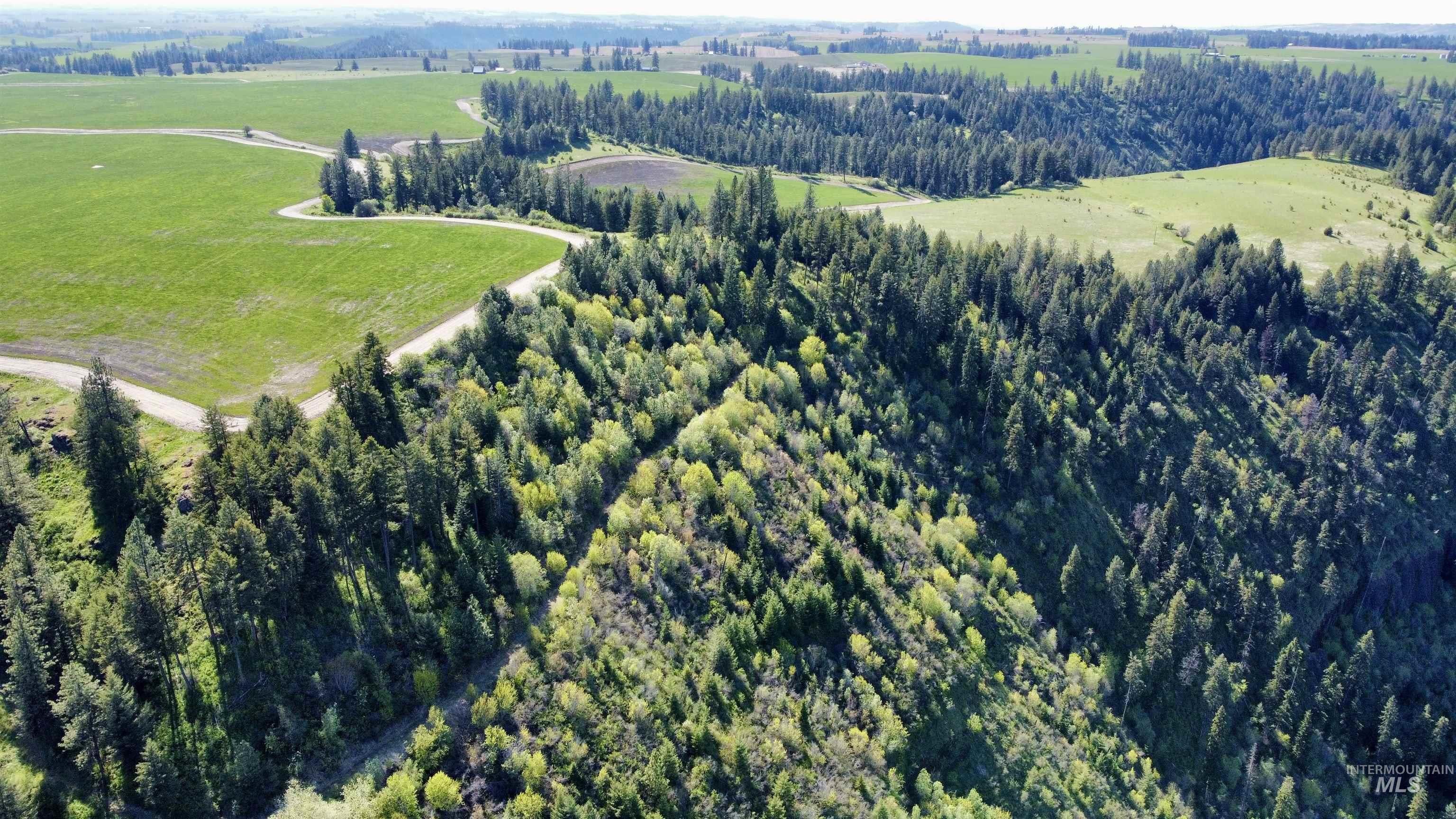 0 Gilbert Grade and 0 Heritage Rd, Orofino, Idaho 83544, Land For Sale, Price $1,249,000, 98945123