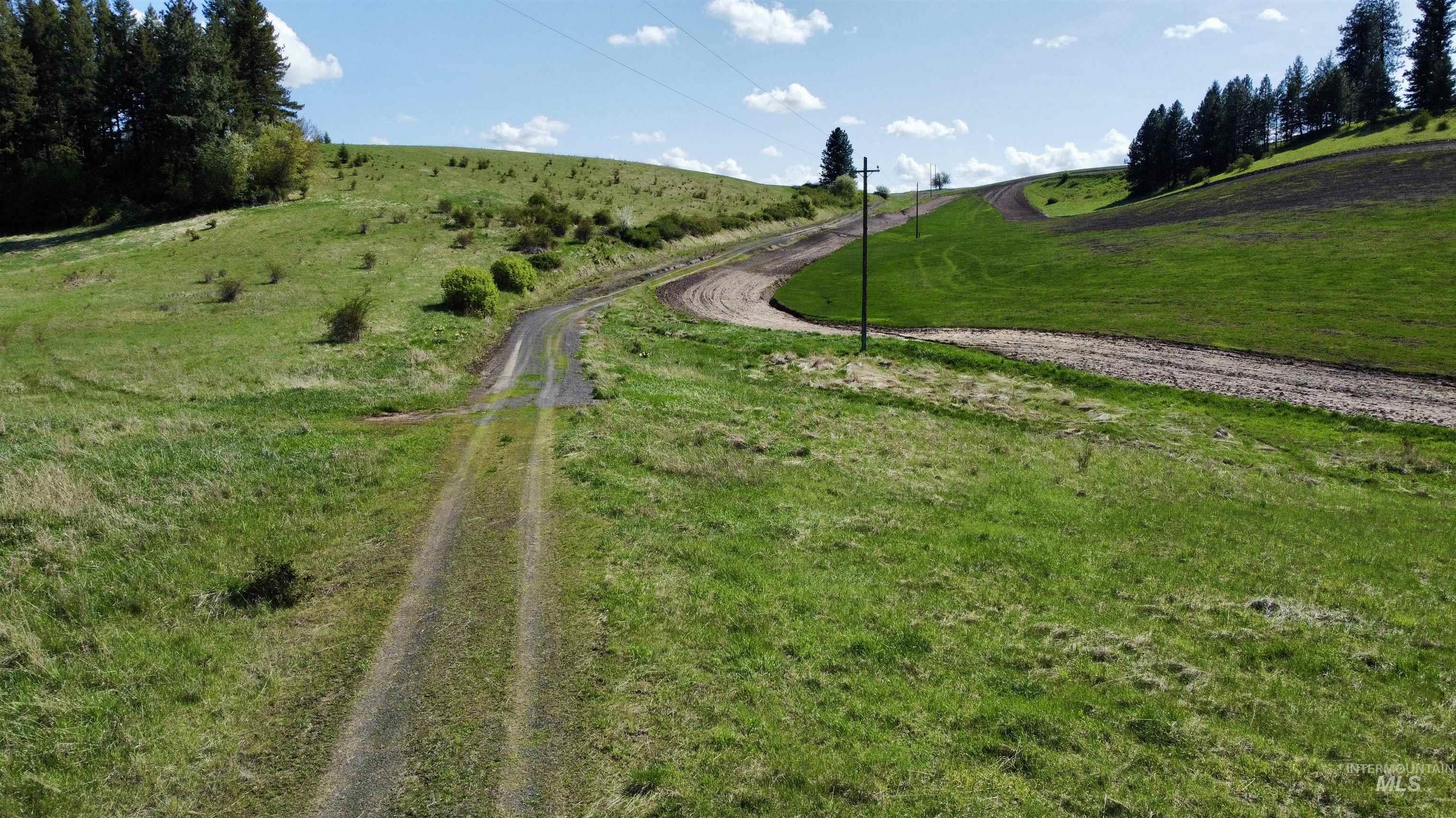 0 Gilbert Grade and 0 Heritage Rd, Orofino, Idaho 83544, Land For Sale, Price $1,249,000, 98945123