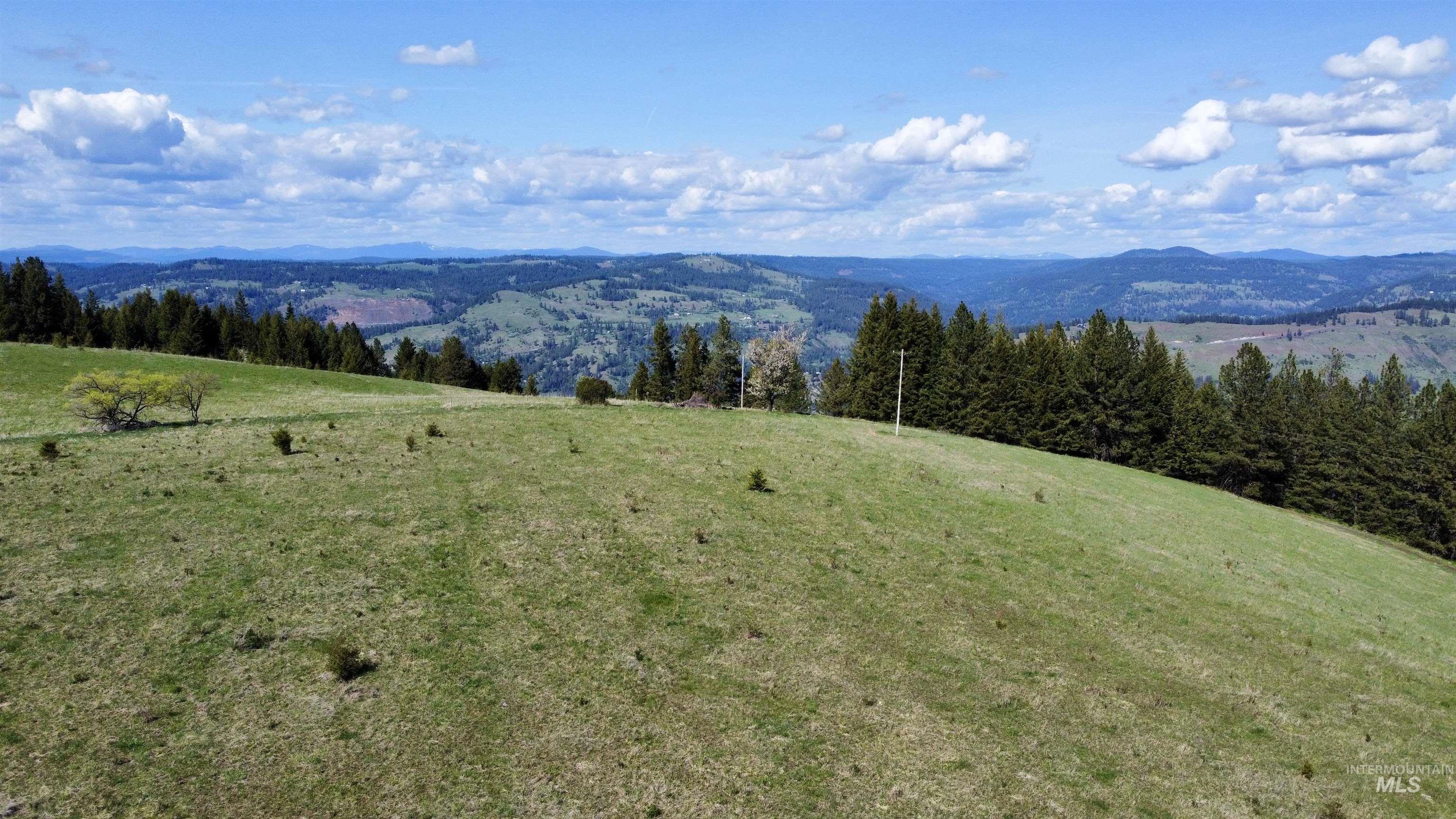 0 Gilbert Grade and 0 Heritage Rd, Orofino, Idaho 83544, Land For Sale, Price $1,249,000, 98945123