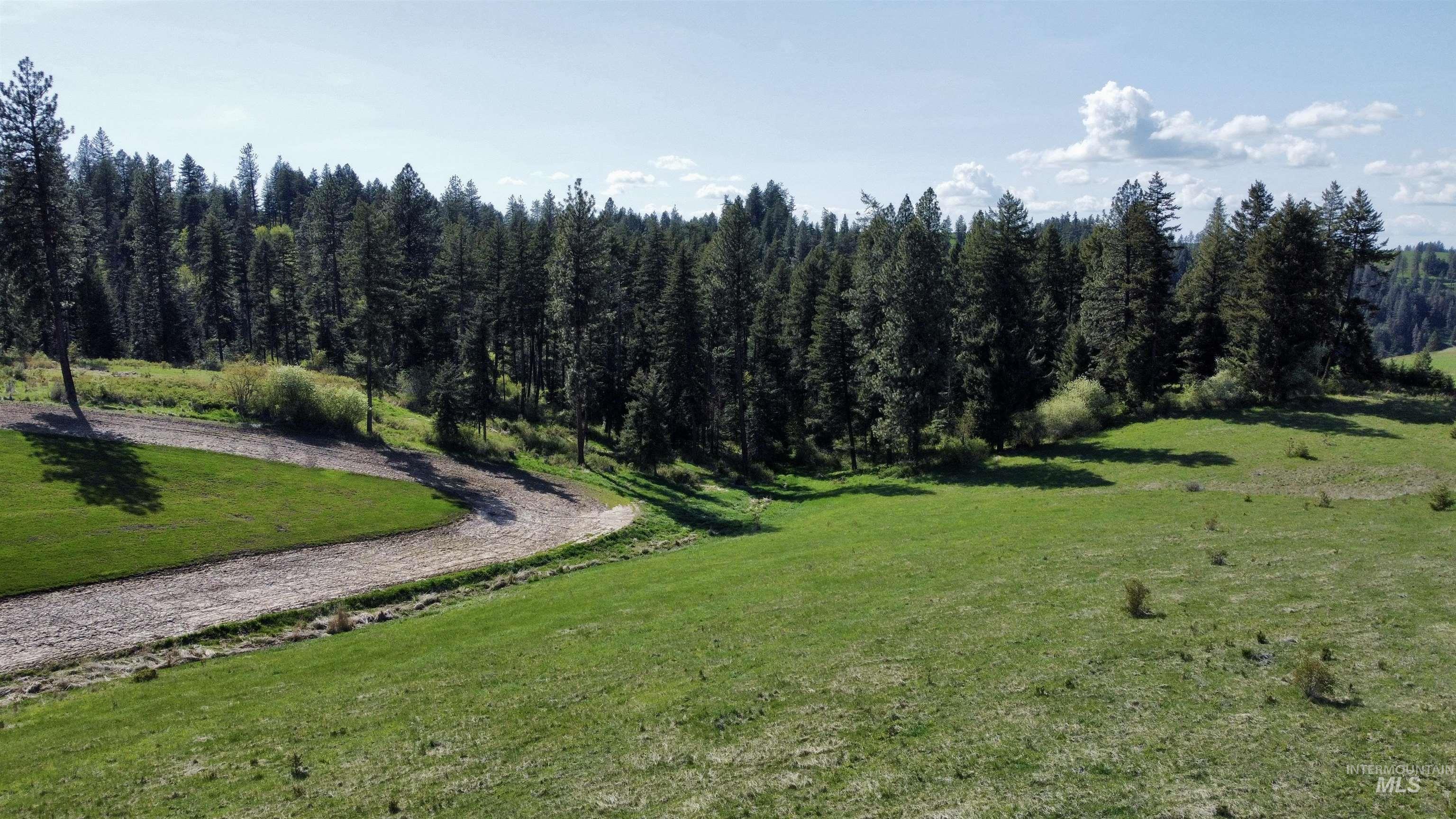 0 Gilbert Grade and 0 Heritage Rd, Orofino, Idaho 83544, Land For Sale, Price $1,249,000, 98945123