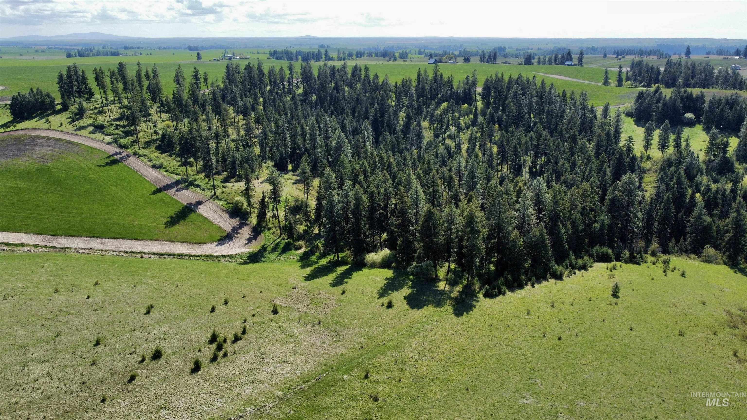 0 Gilbert Grade and 0 Heritage Rd, Orofino, Idaho 83544, Land For Sale, Price $1,249,000, 98945123