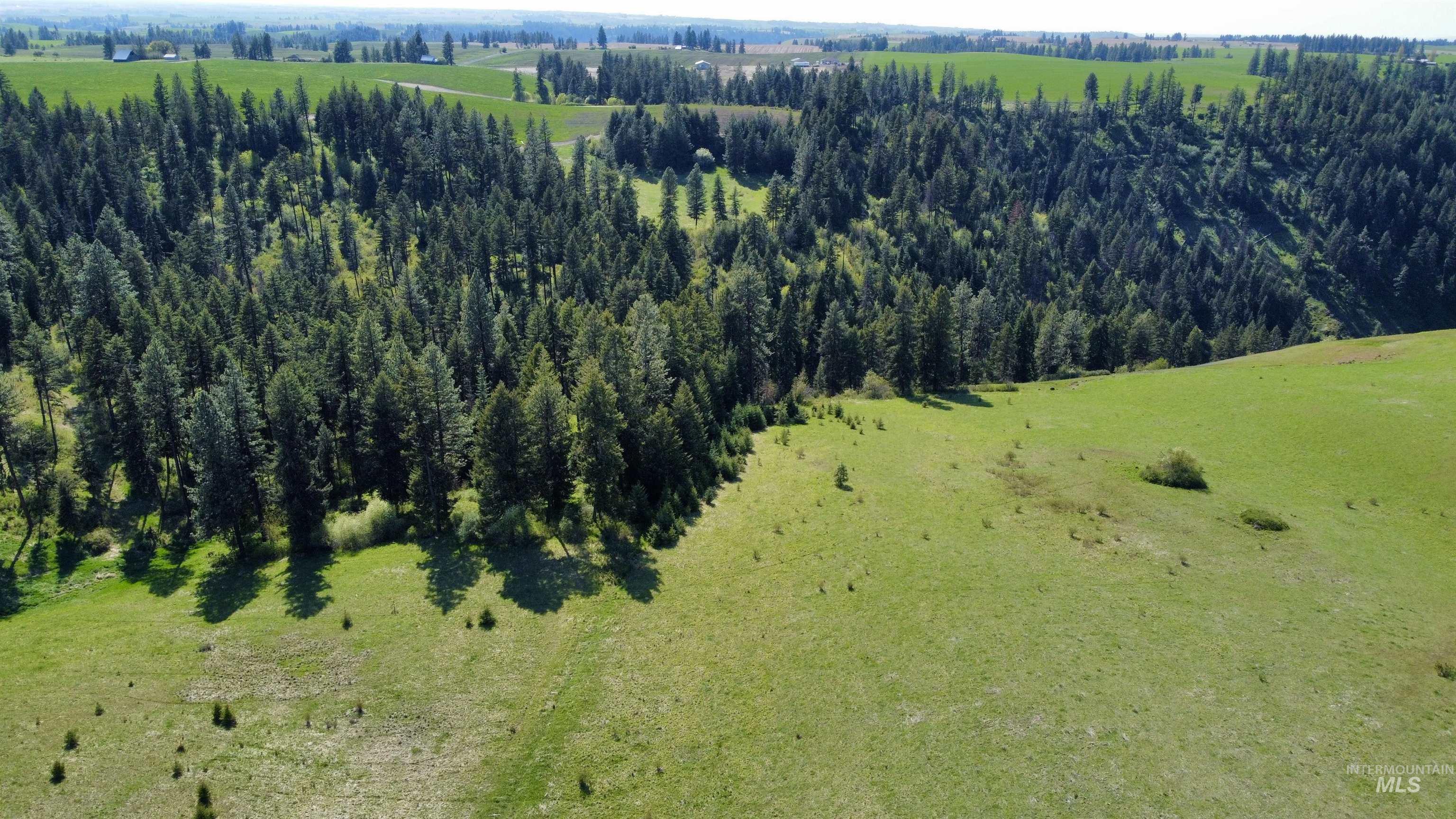 0 Gilbert Grade and 0 Heritage Rd, Orofino, Idaho 83544, Land For Sale, Price $1,249,000, 98945123