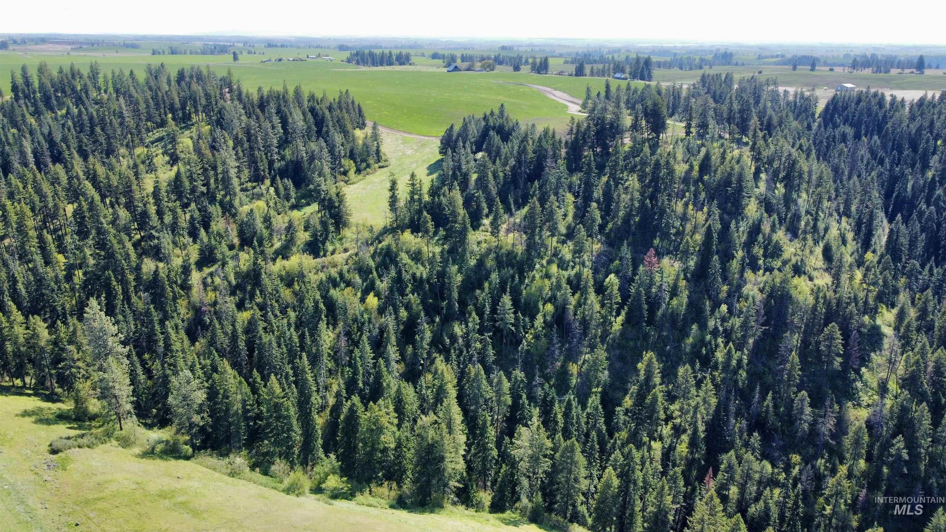 0 Gilbert Grade and 0 Heritage Rd, Orofino, Idaho 83544, Land For Sale, Price $1,249,000, 98945123