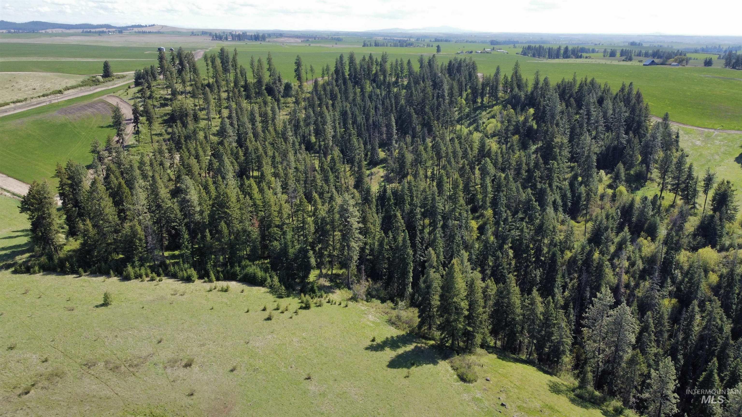 0 Gilbert Grade and 0 Heritage Rd, Orofino, Idaho 83544, Land For Sale, Price $1,249,000, 98945123