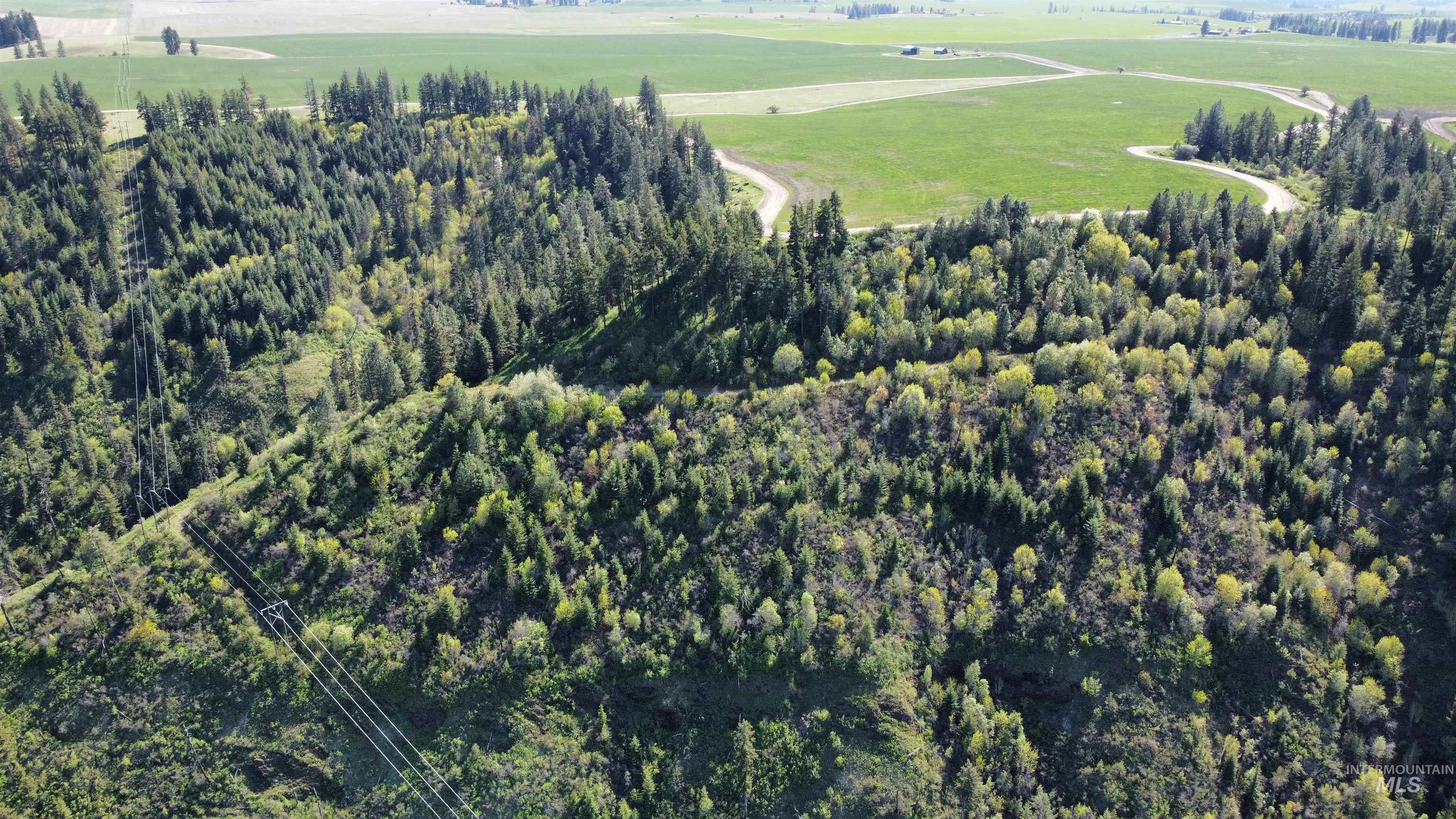 0 Gilbert Grade and 0 Heritage Rd, Orofino, Idaho 83544, Land For Sale, Price $1,249,000, 98945123