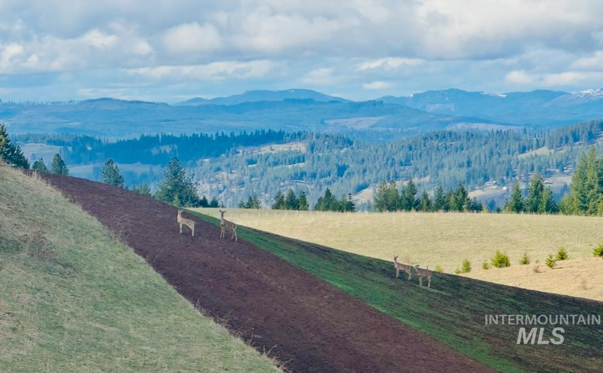0 Gilbert Grade and 0 Heritage Rd, Orofino, Idaho 83544, Land For Sale, Price $1,249,000, 98945123