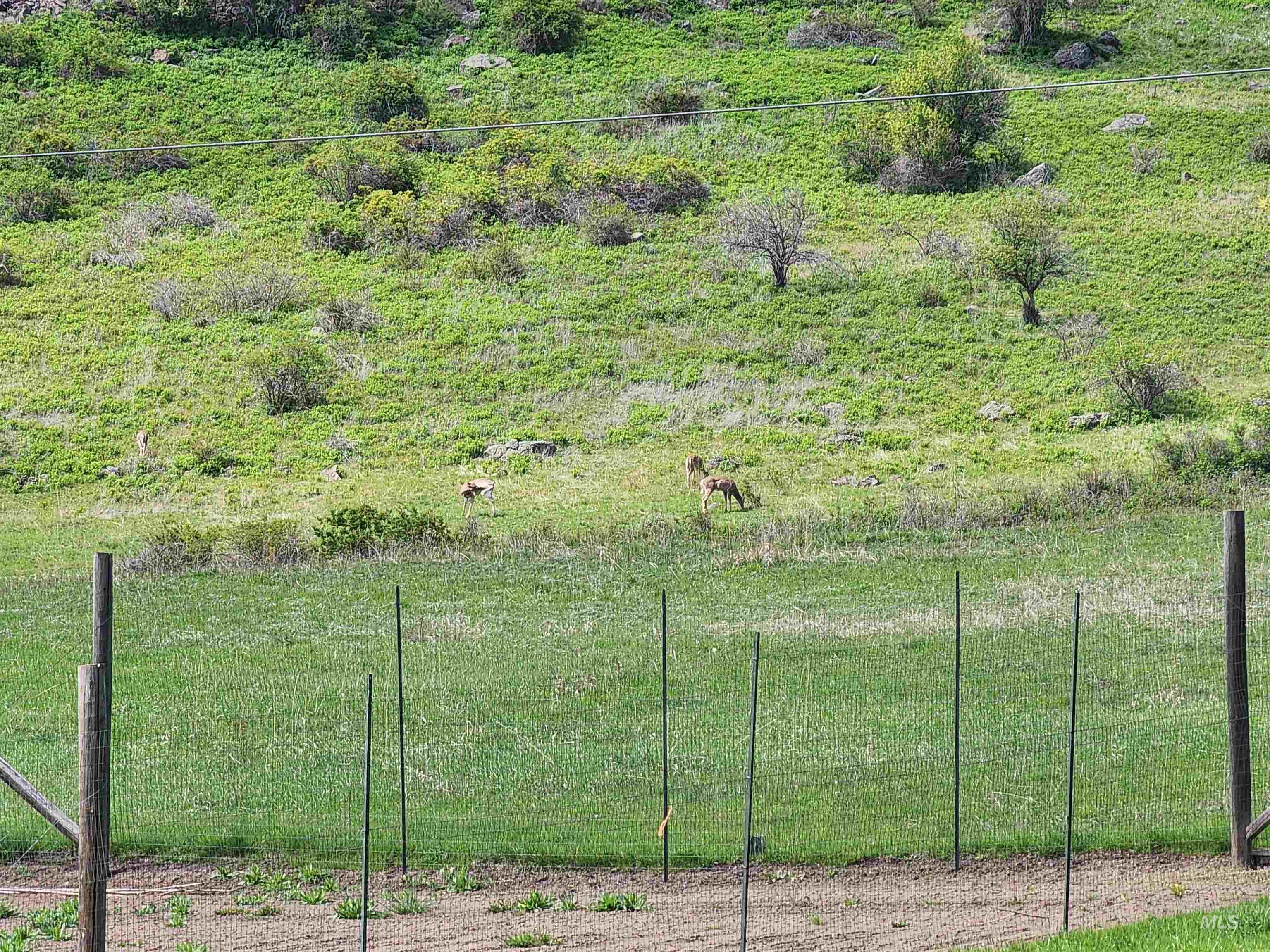 1073 Doumecq Road, White Bird, Idaho 83554, 3 Bedrooms, 2.5 Bathrooms, Residential For Sale, Price $675,000, 98945157