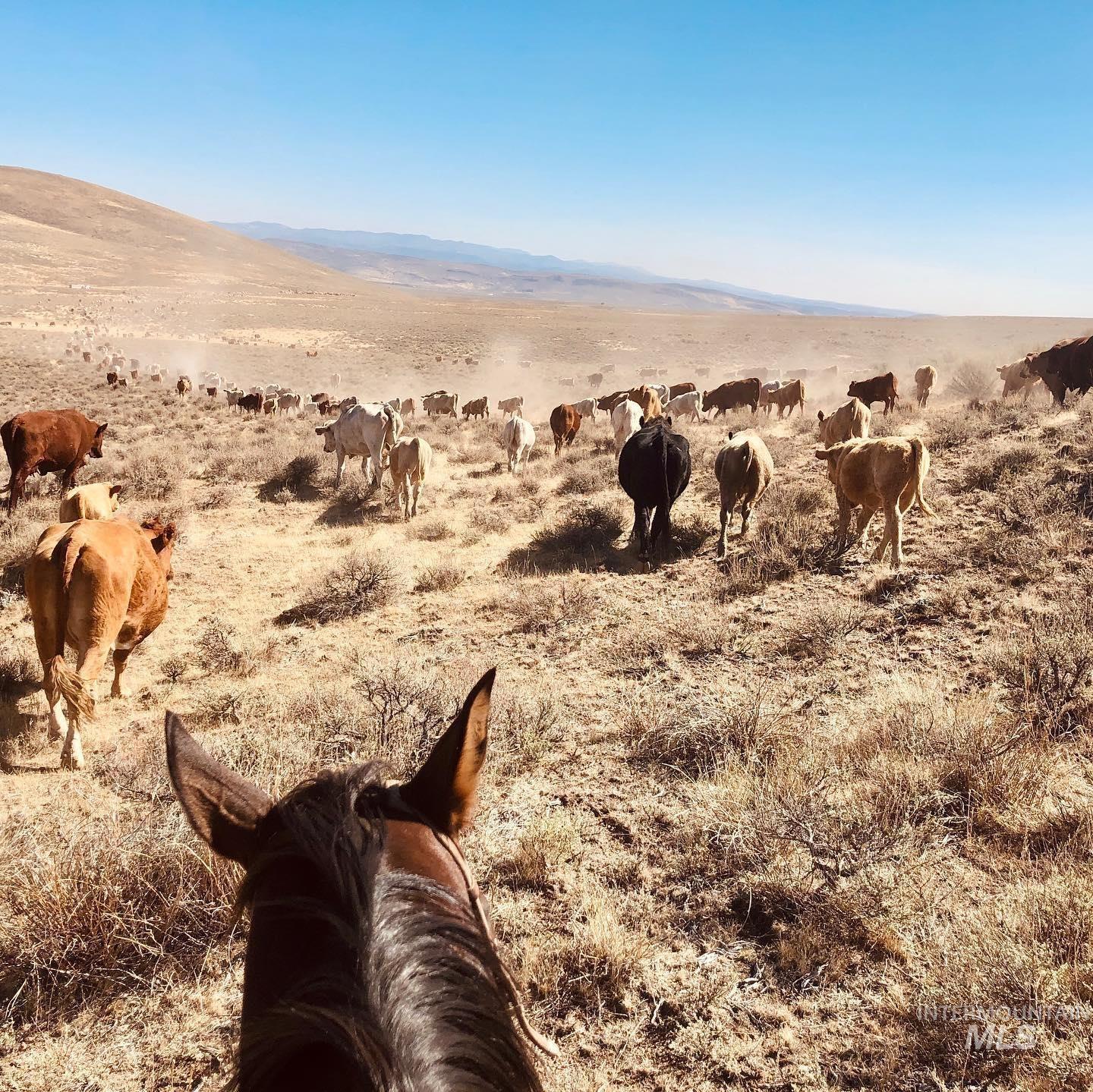 TBD Crooked Creek, Jordan Valley, Oregon 97910, Land For Sale, Price $20,000, 98945160