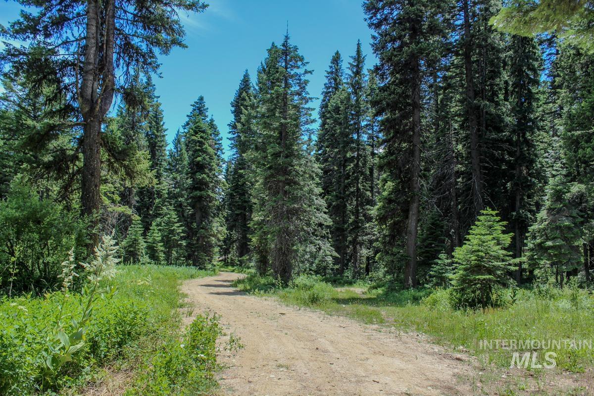 1801 Canary Trail, Donnelly, Idaho 83615, Land For Sale, Price $250,000, 98945189